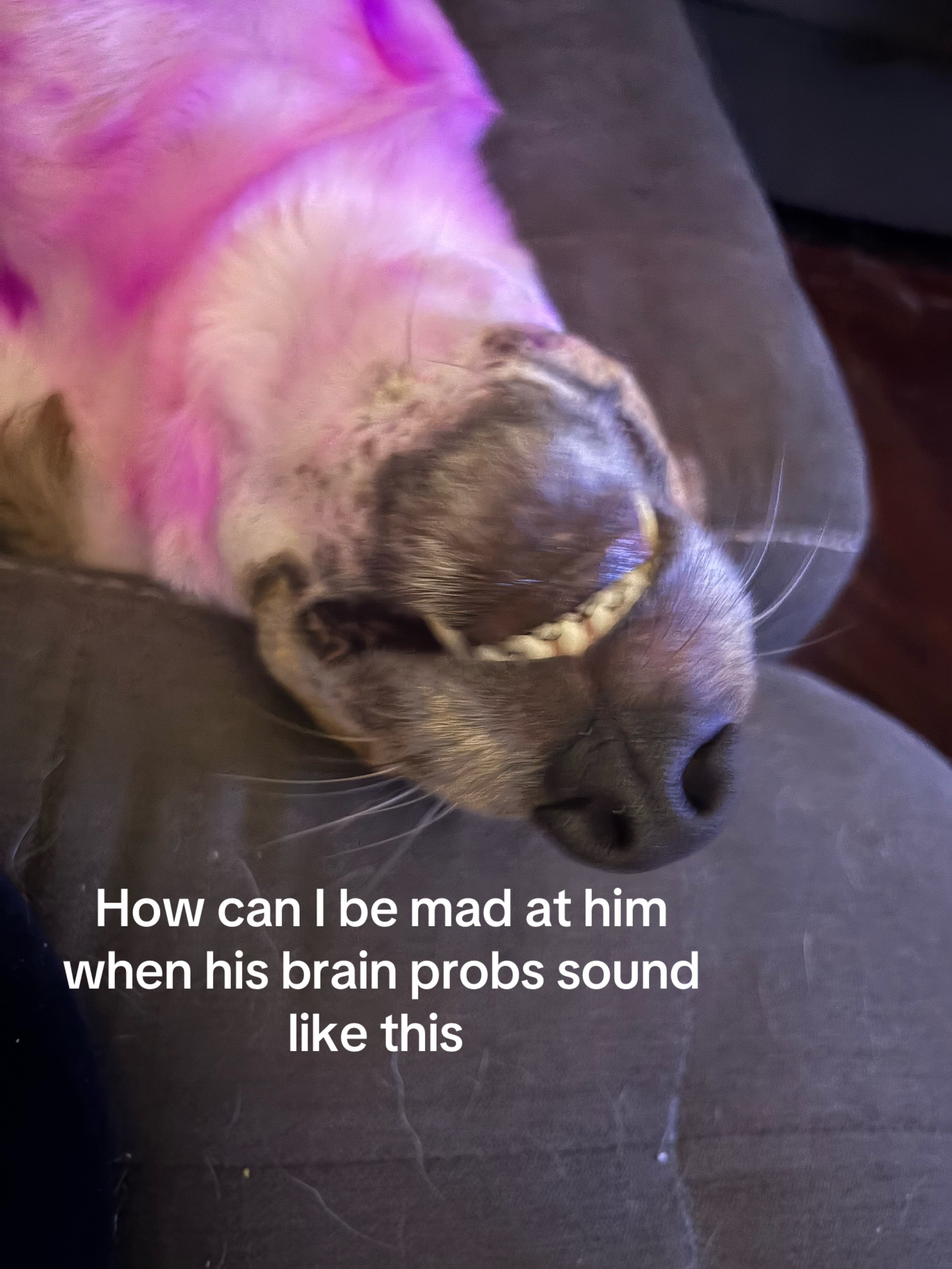 @𝕿𝖗𝖎𝖝 𝖂𝖎𝖓𝖈𝖍𝖊𝖘𝖙𝖊𝖗