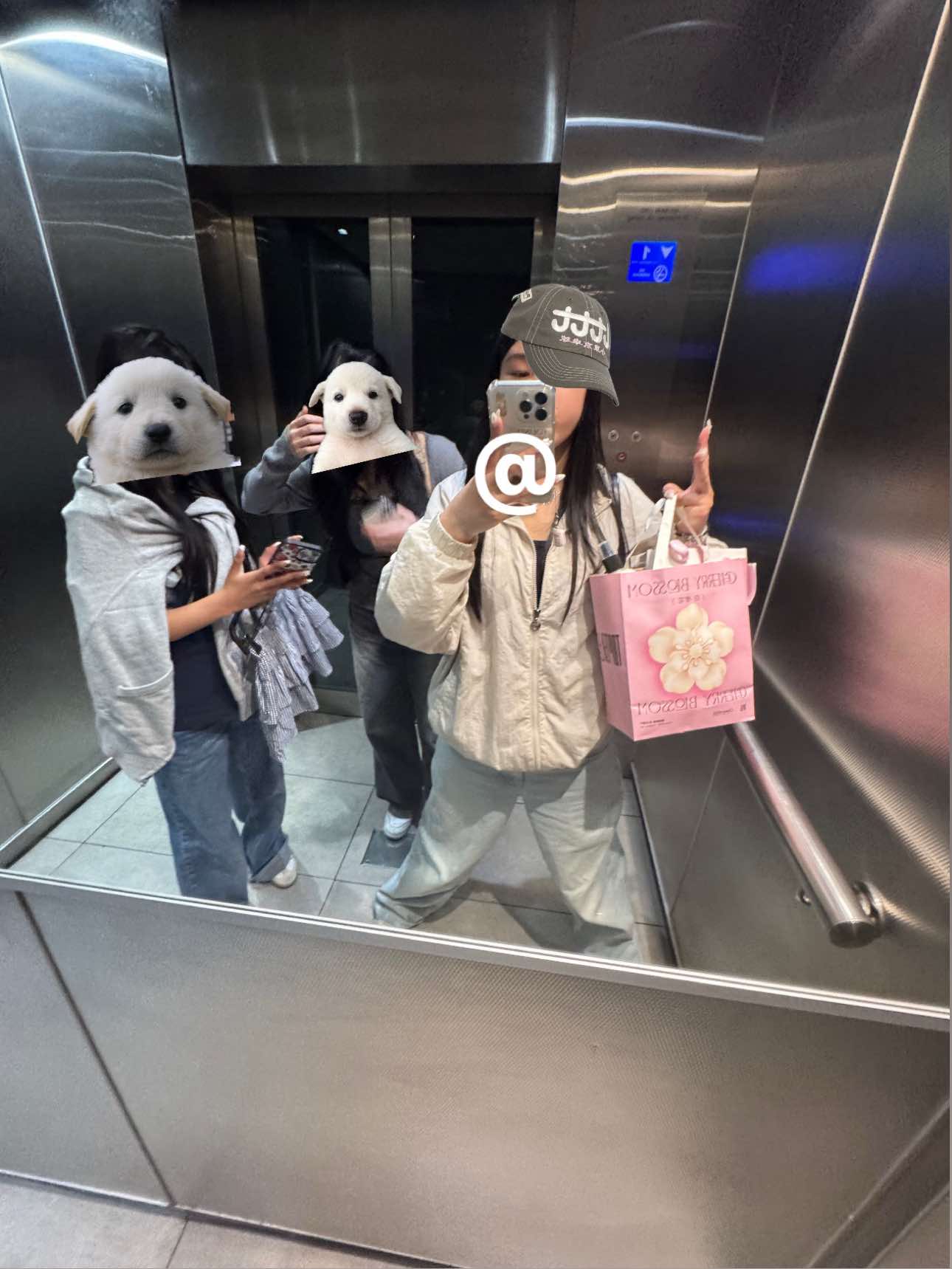 @.thepoles