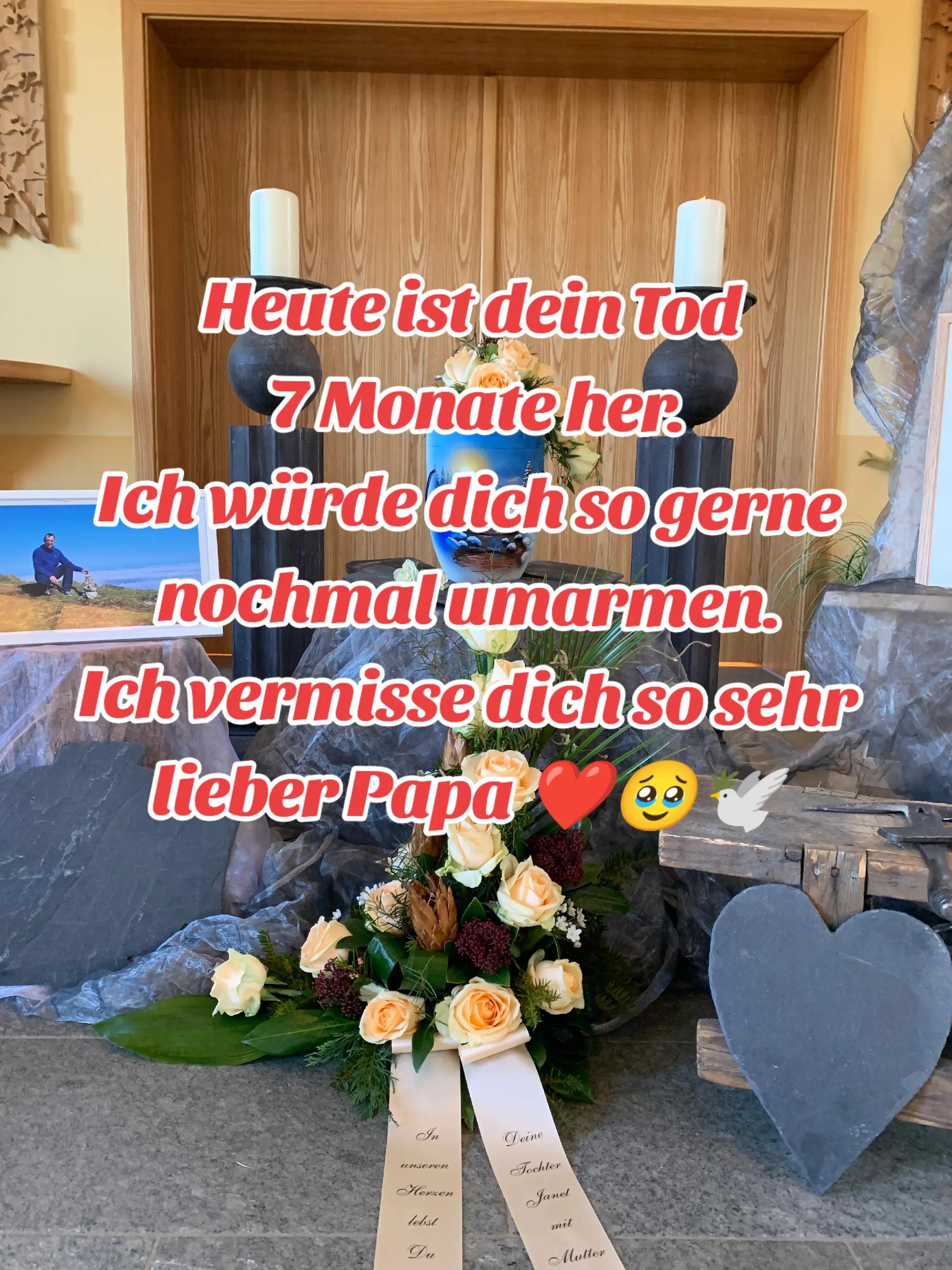 @Janet💪❤️✨Team Danschi 💪❤️✨