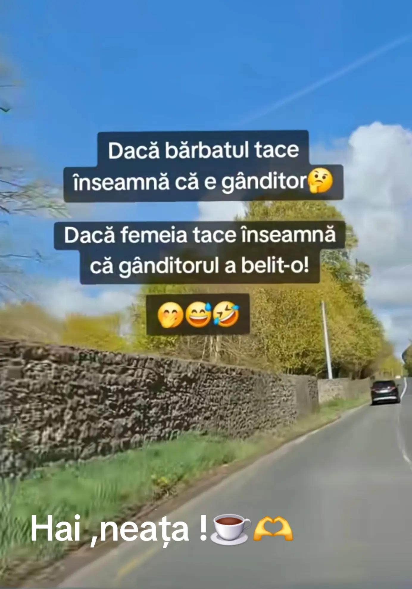 @Gianina Ioniță
