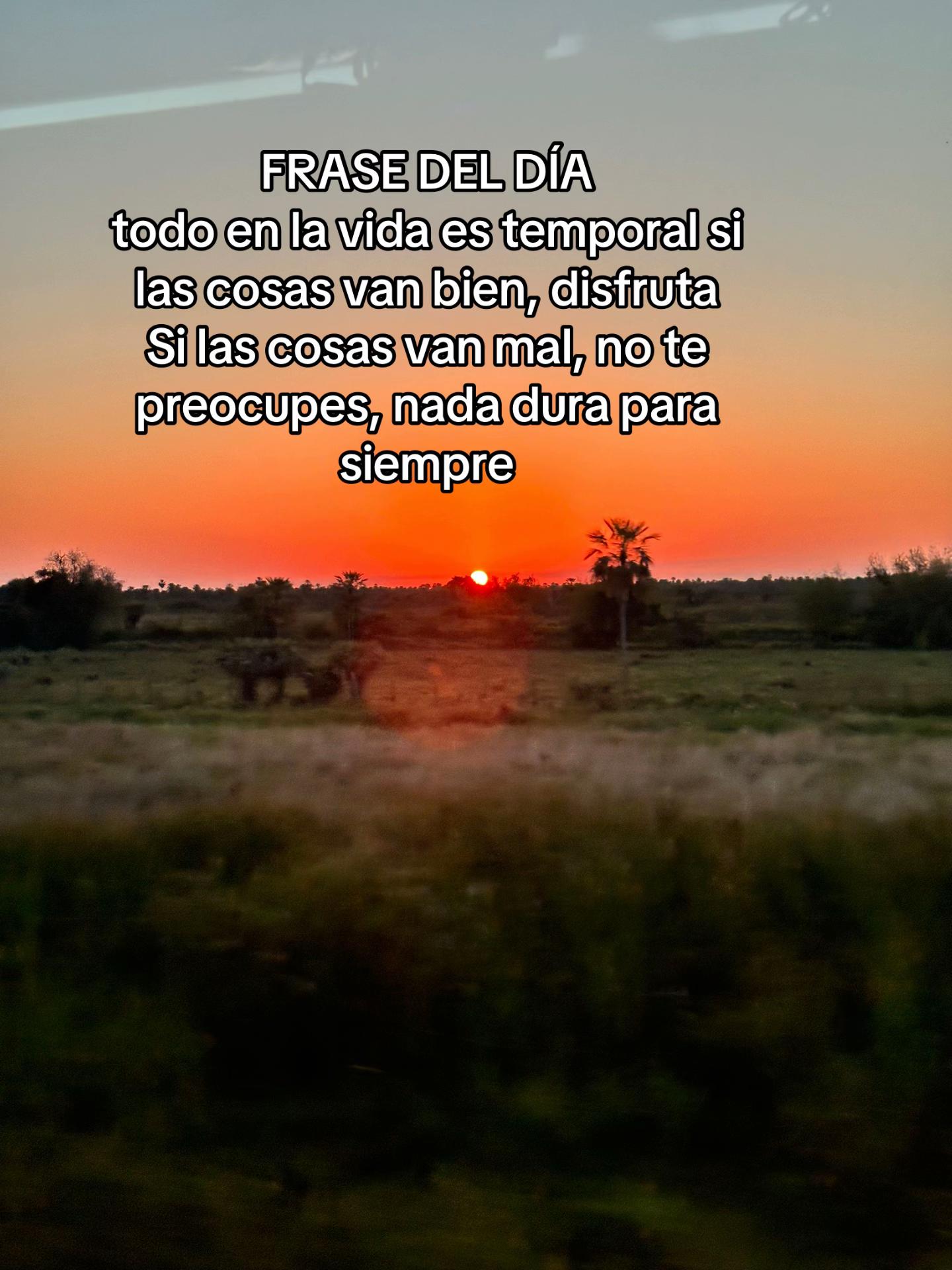 @Pao Alhelí