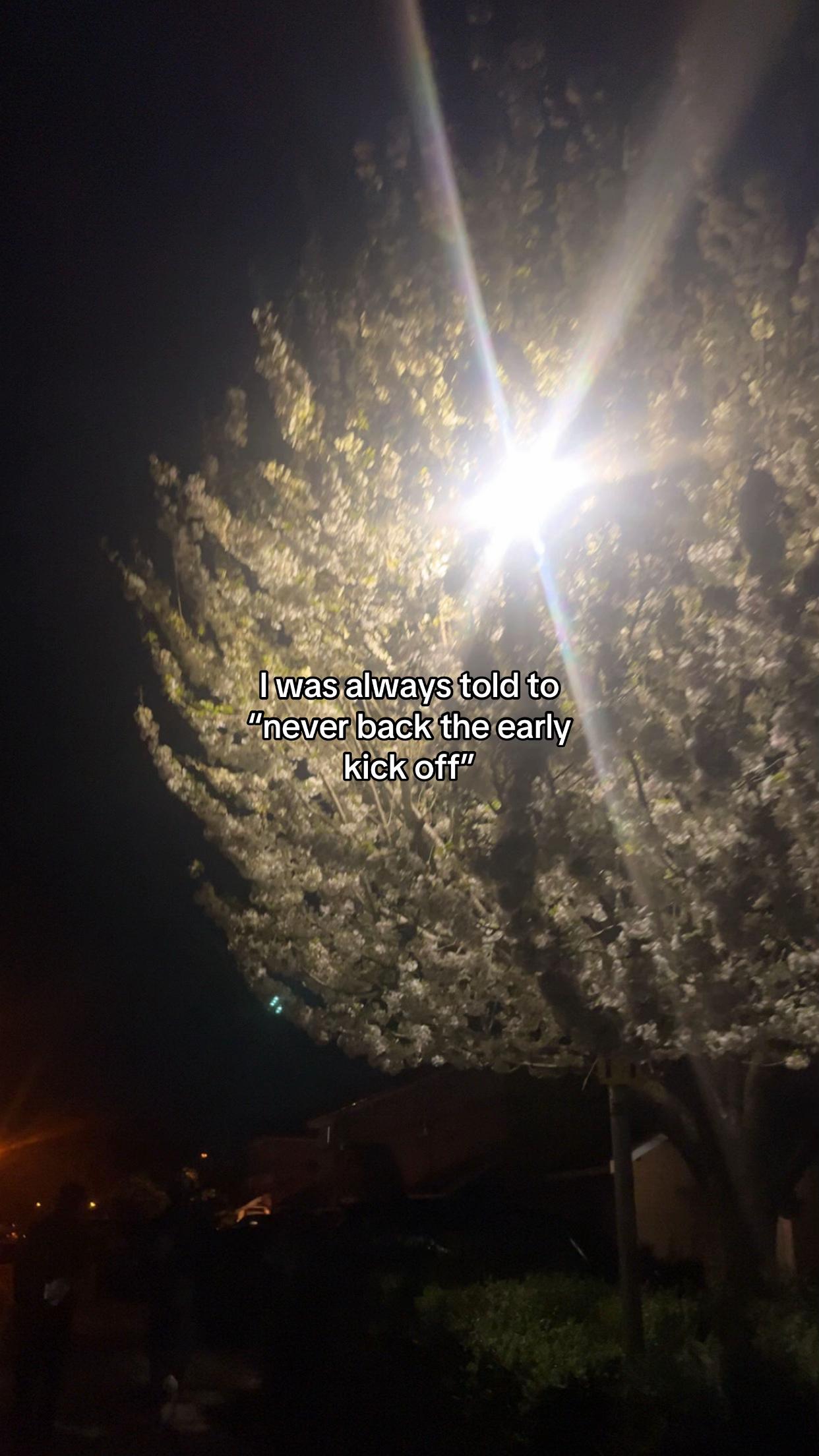 @mkd.phallo