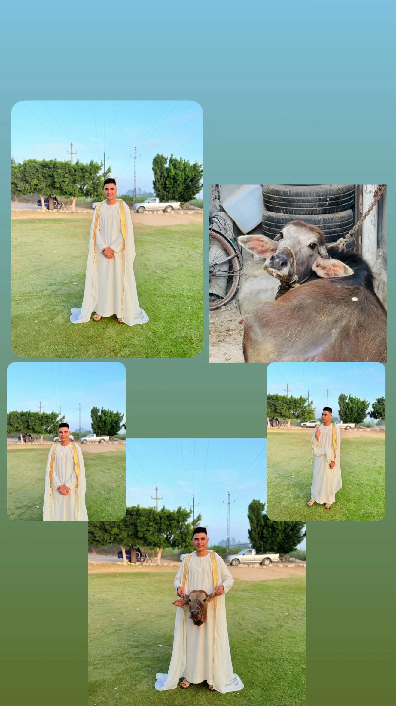 @تومه الغلابه✨