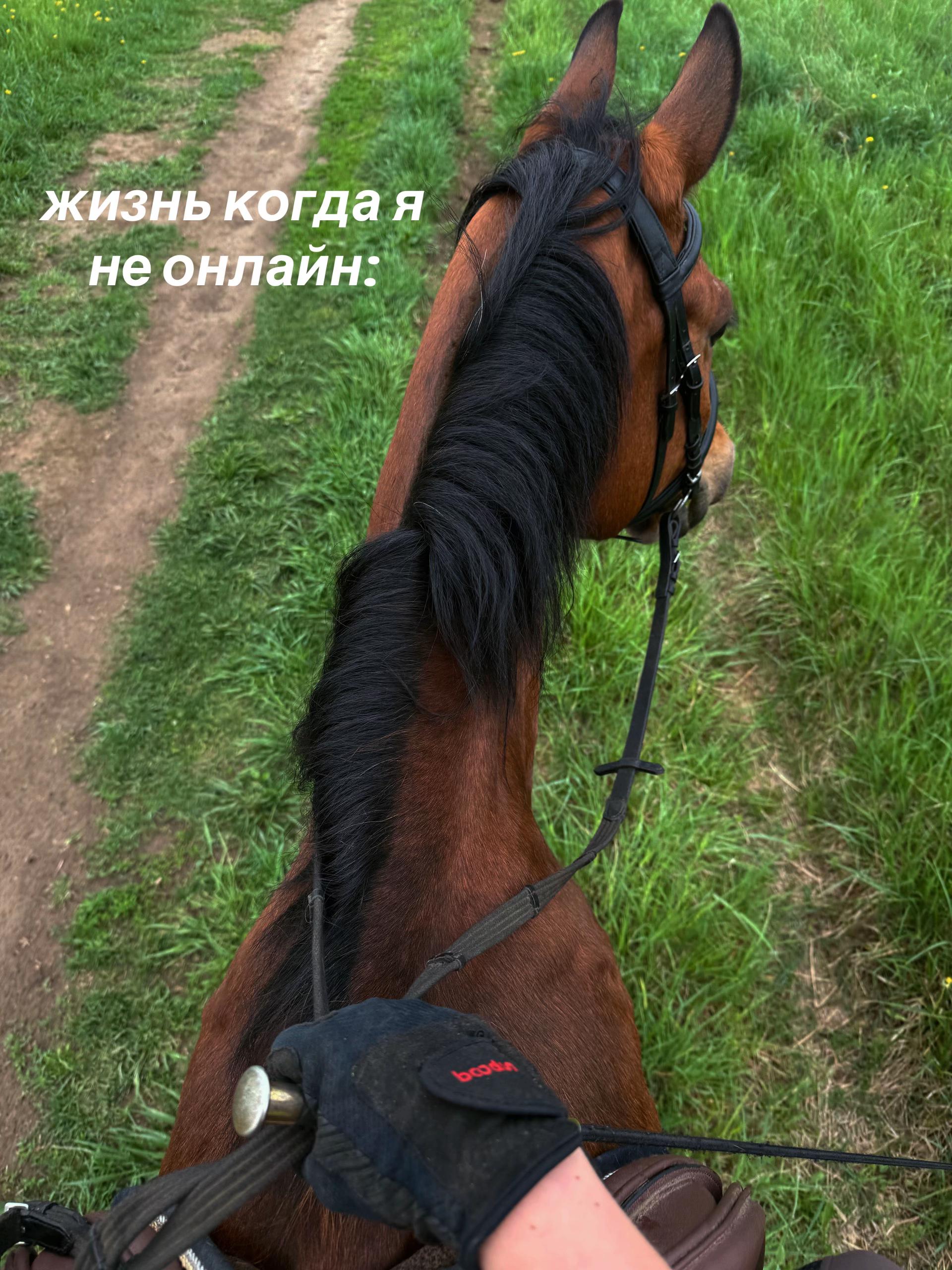 @Аня и Ладный