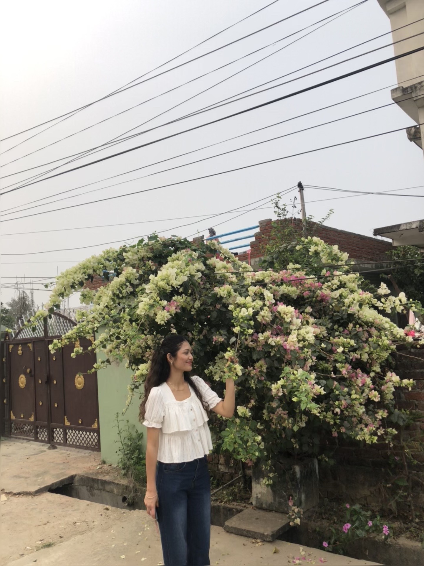 @🌷