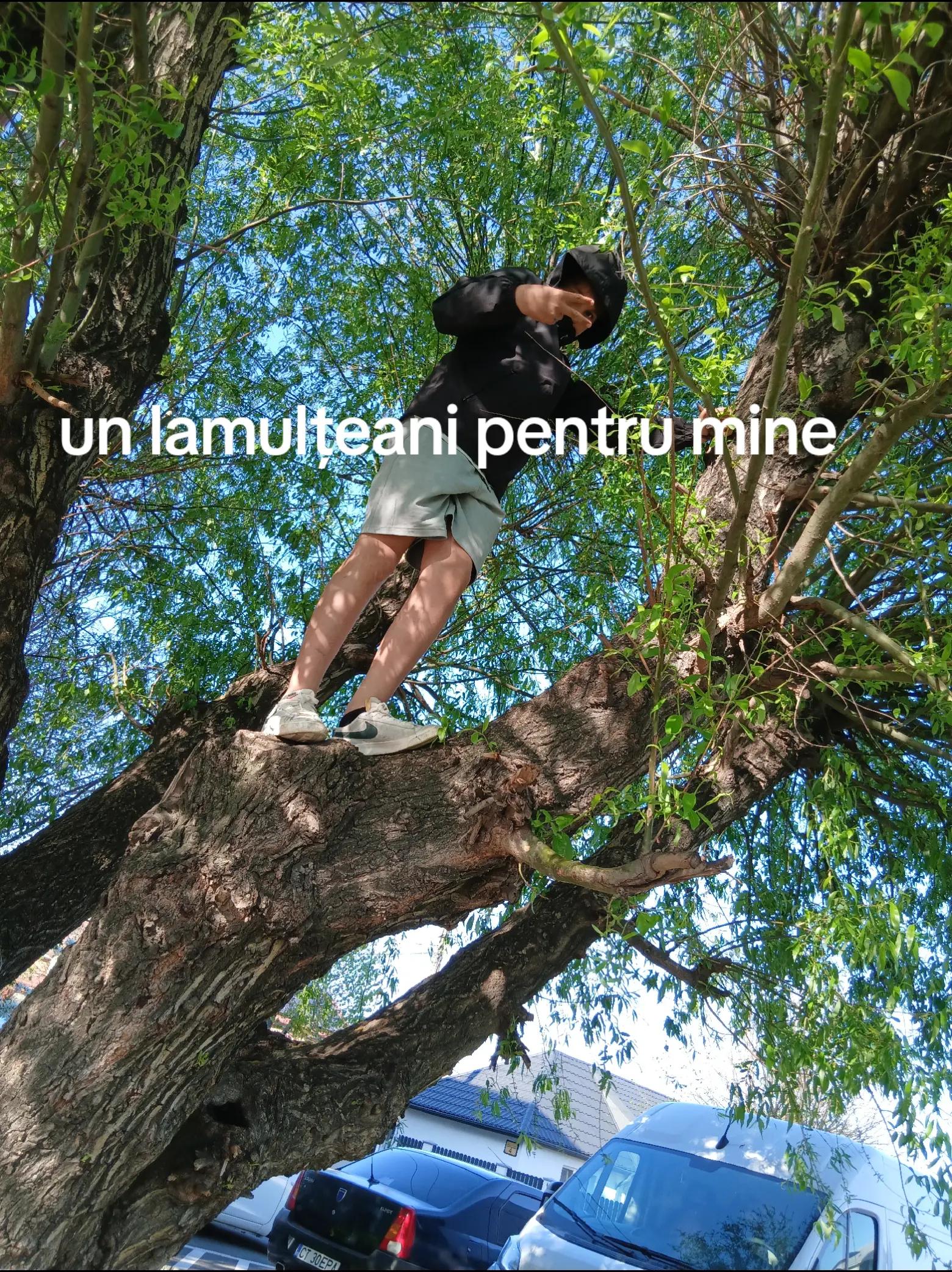@Abi