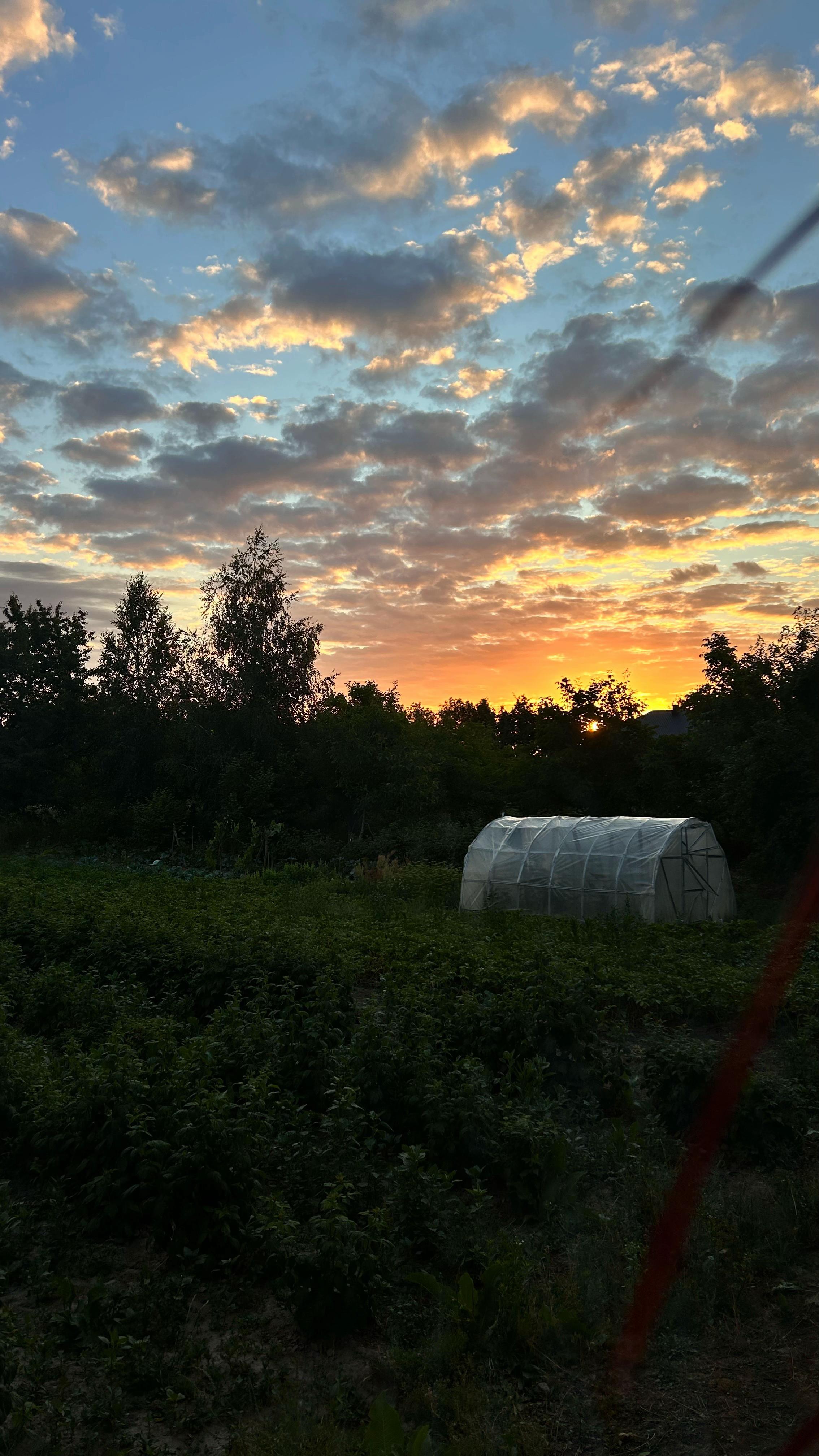 @Марія Чорна
