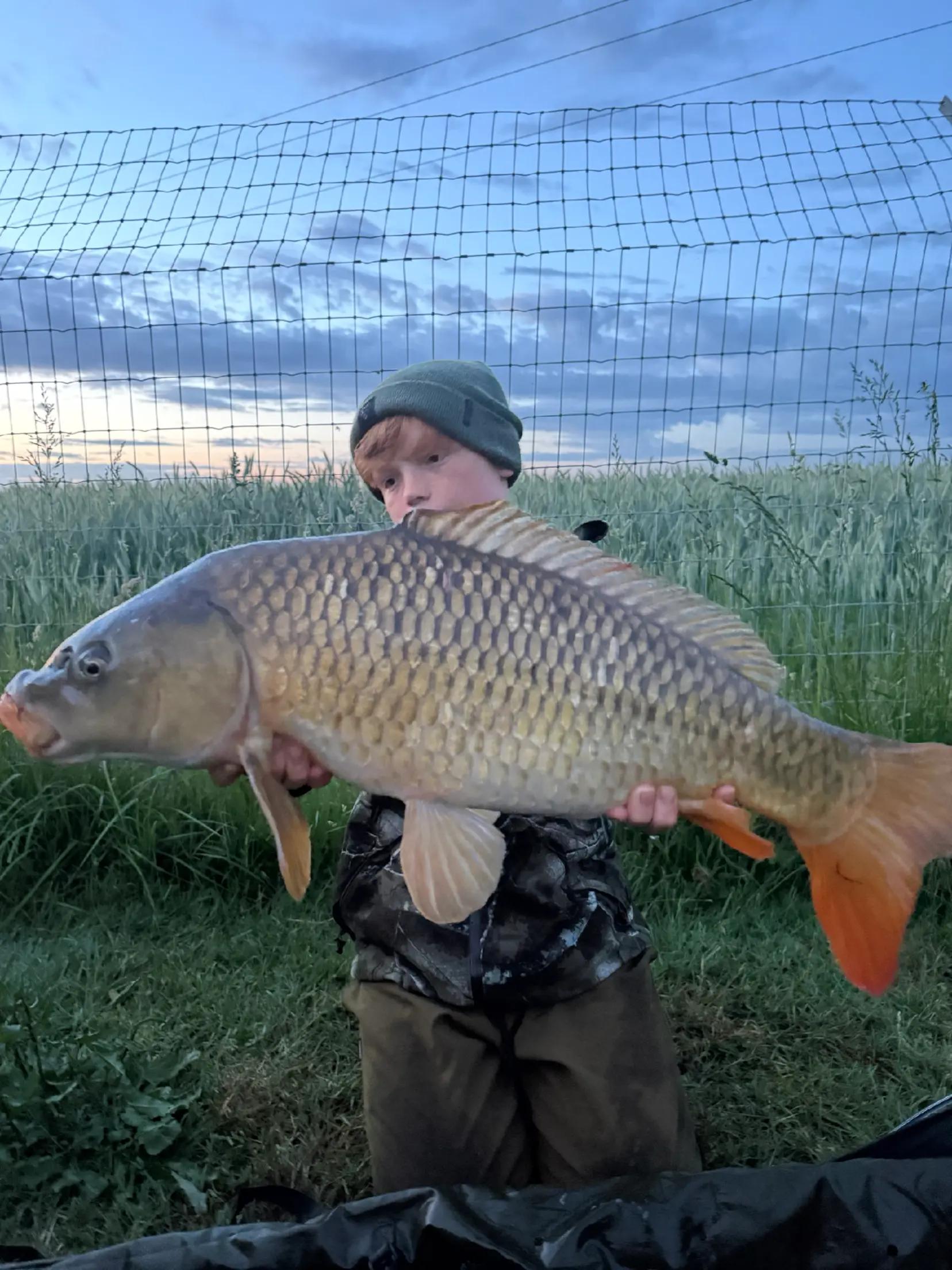 @Carpy Brez