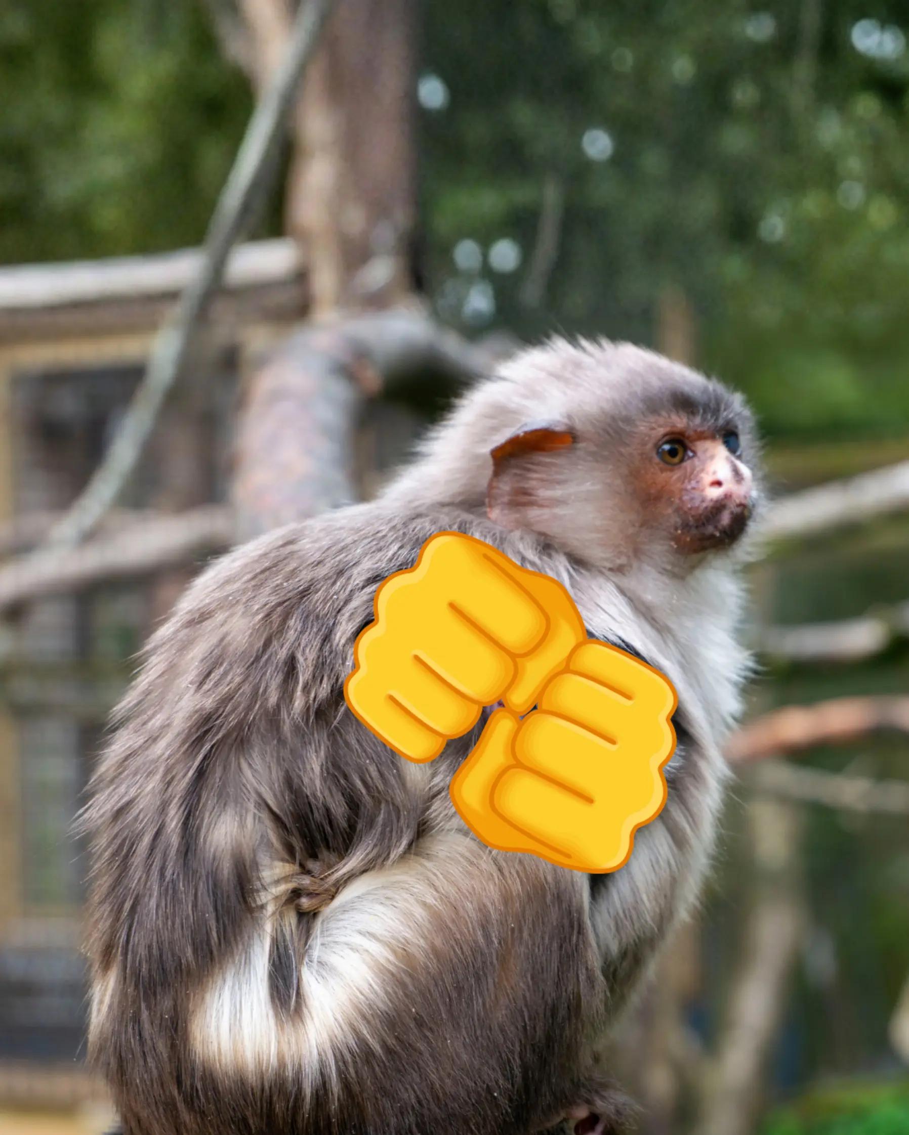 @Dartmoor Zoological Society