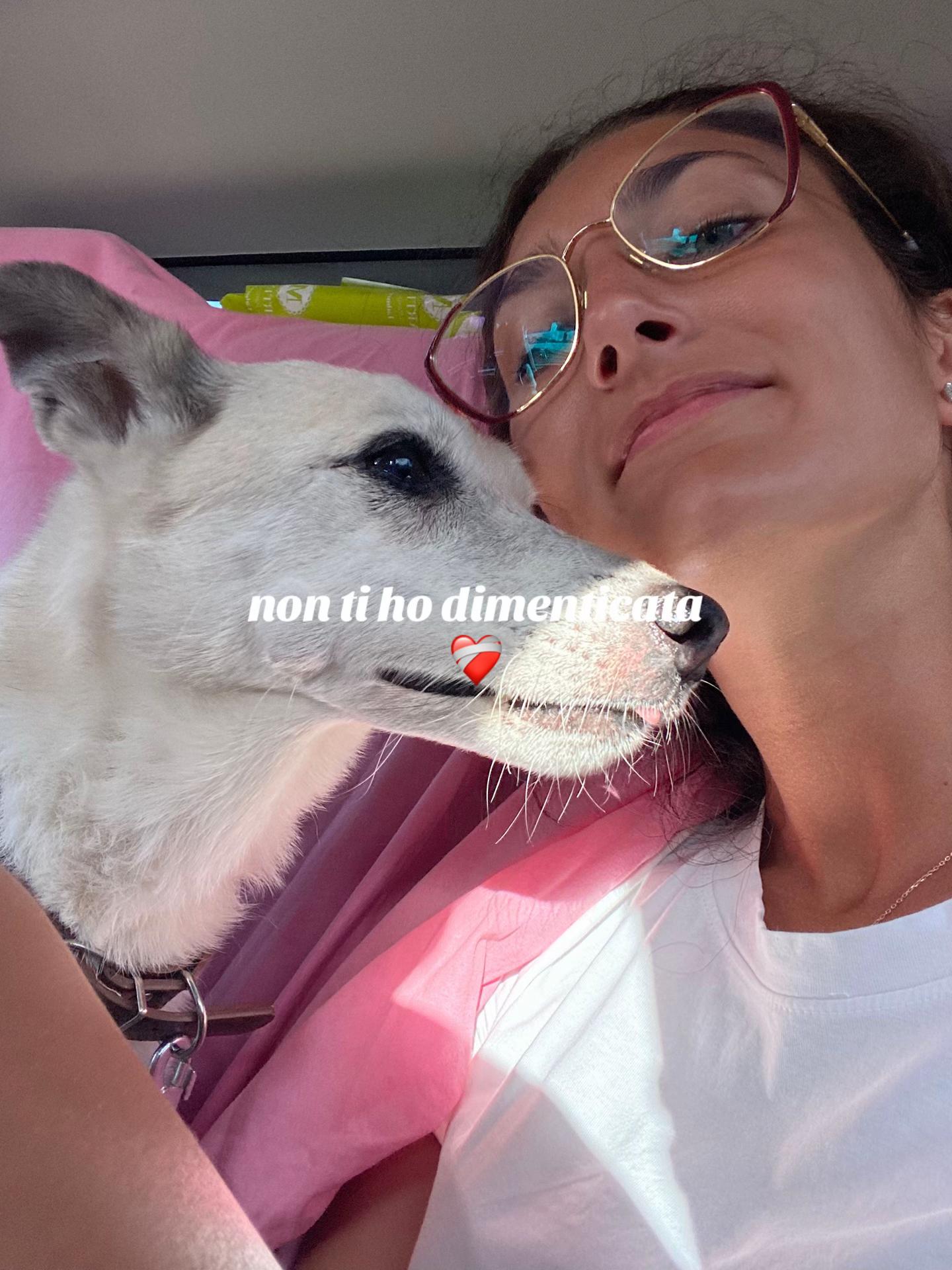@Iris Di Stasio