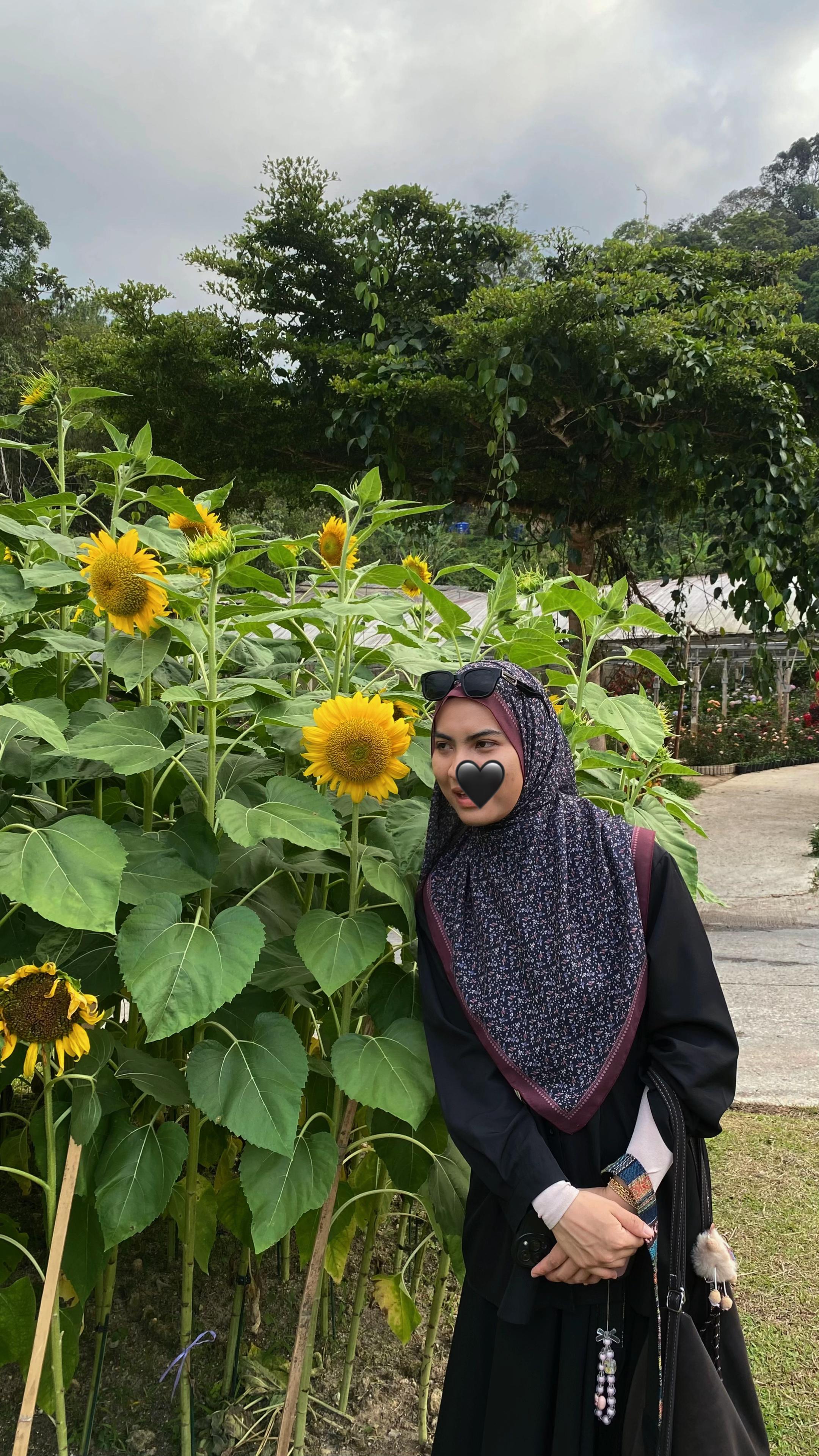 @amniii