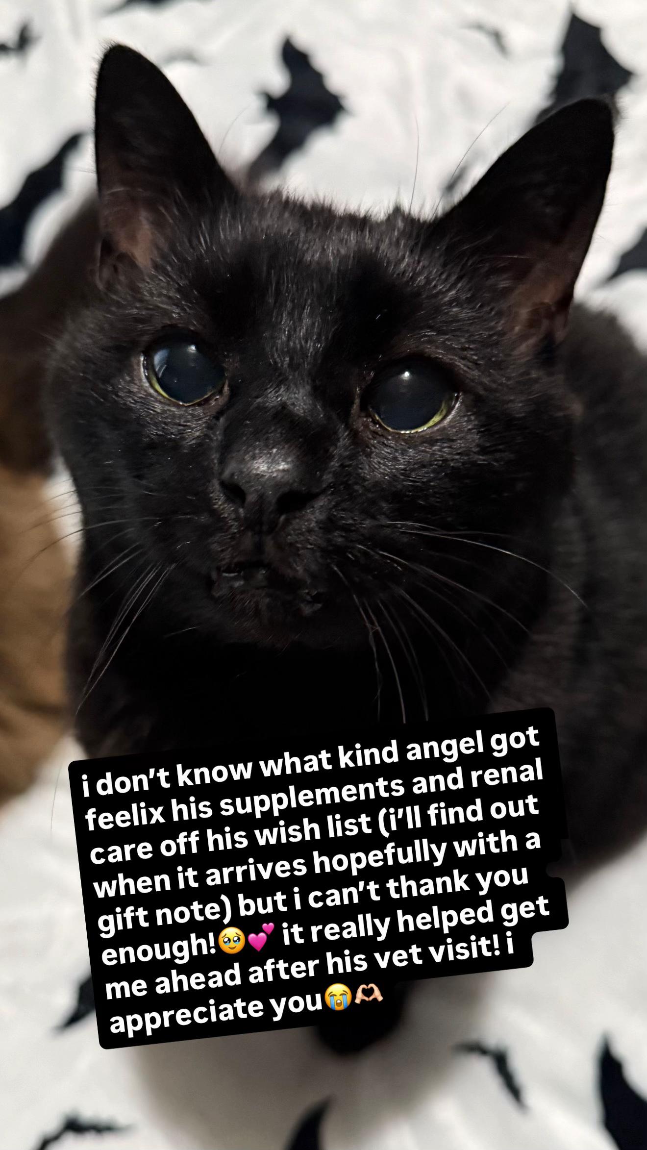 @Teefie_tribe 🐈⬛🐈⬛🐈🦷🦷