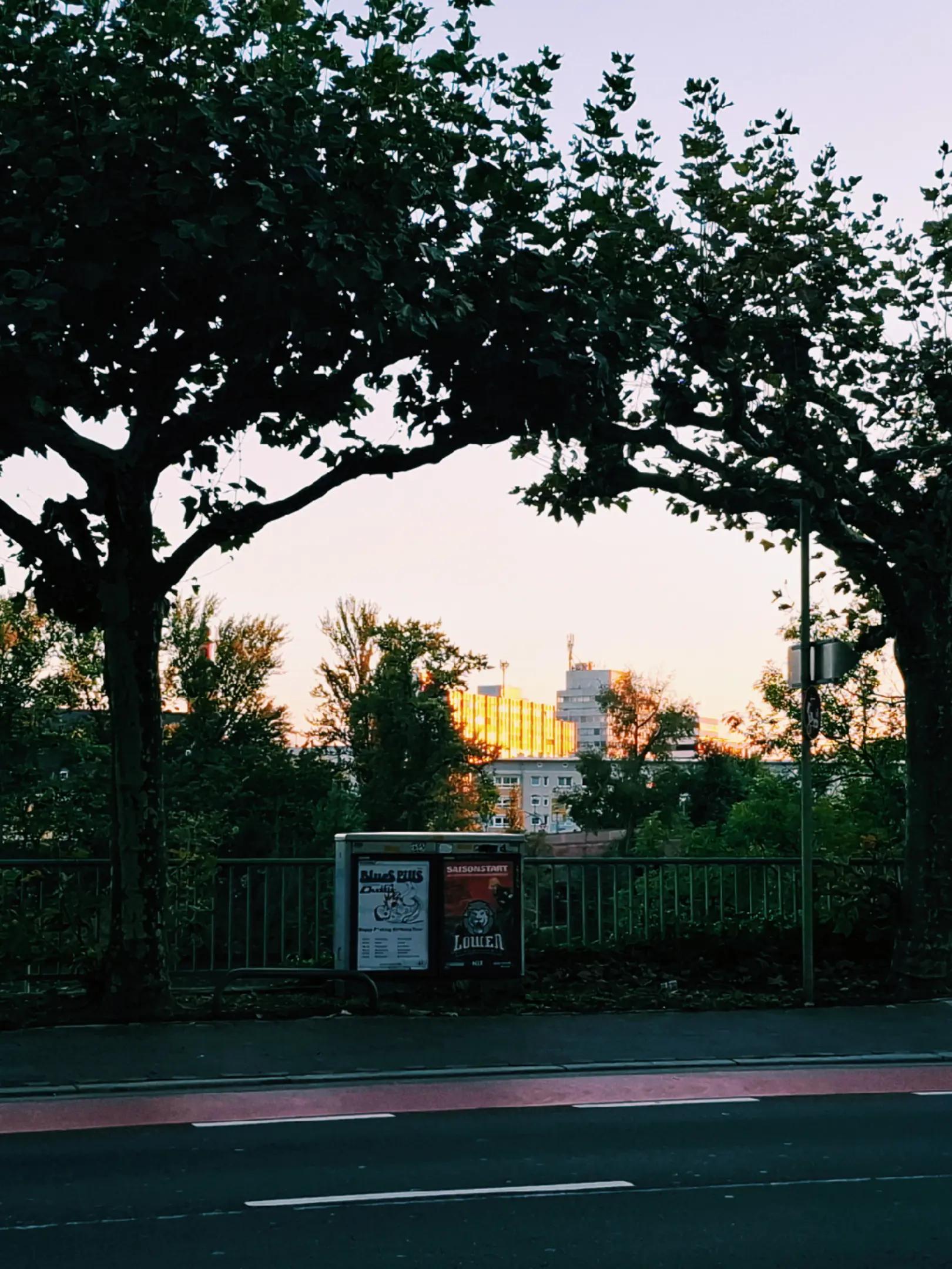 @ﾒ𝟶