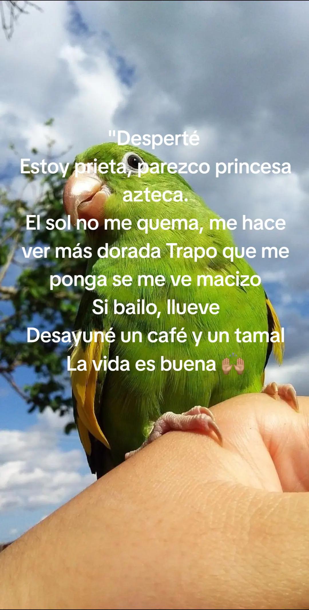 @Ruby__006