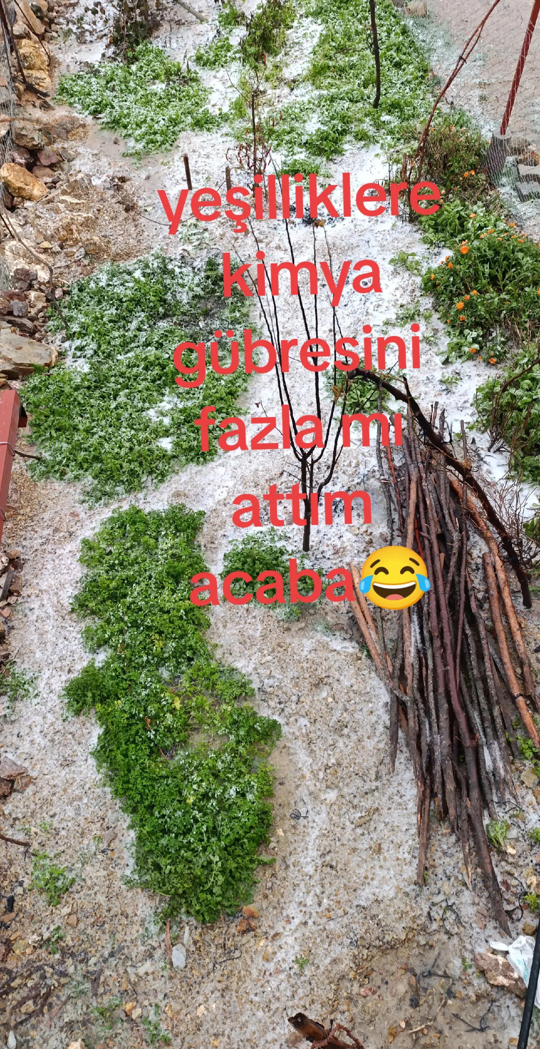 @mutlu DURUSOY