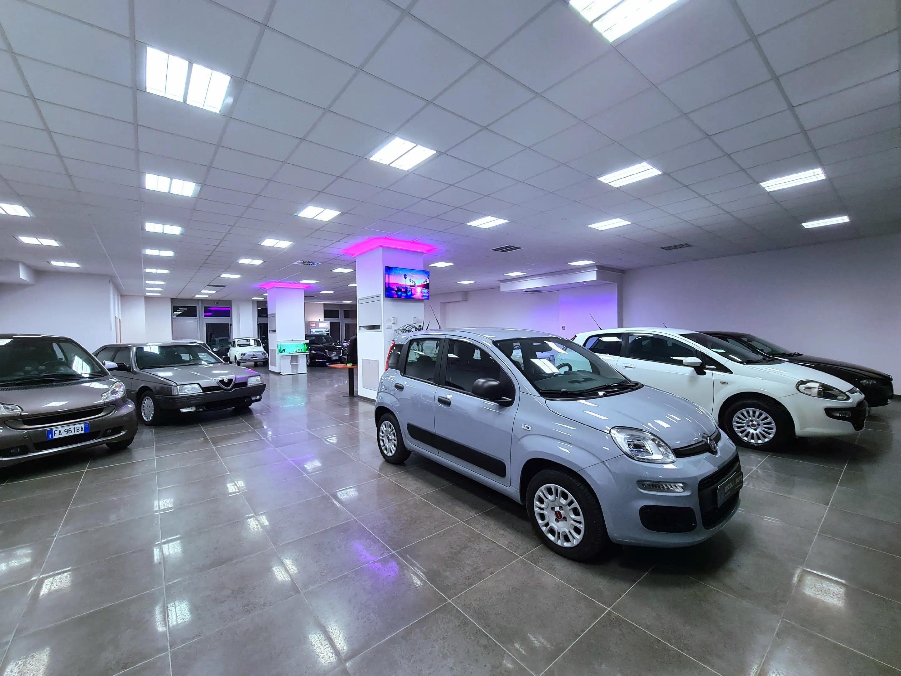 @Ercoli Auto