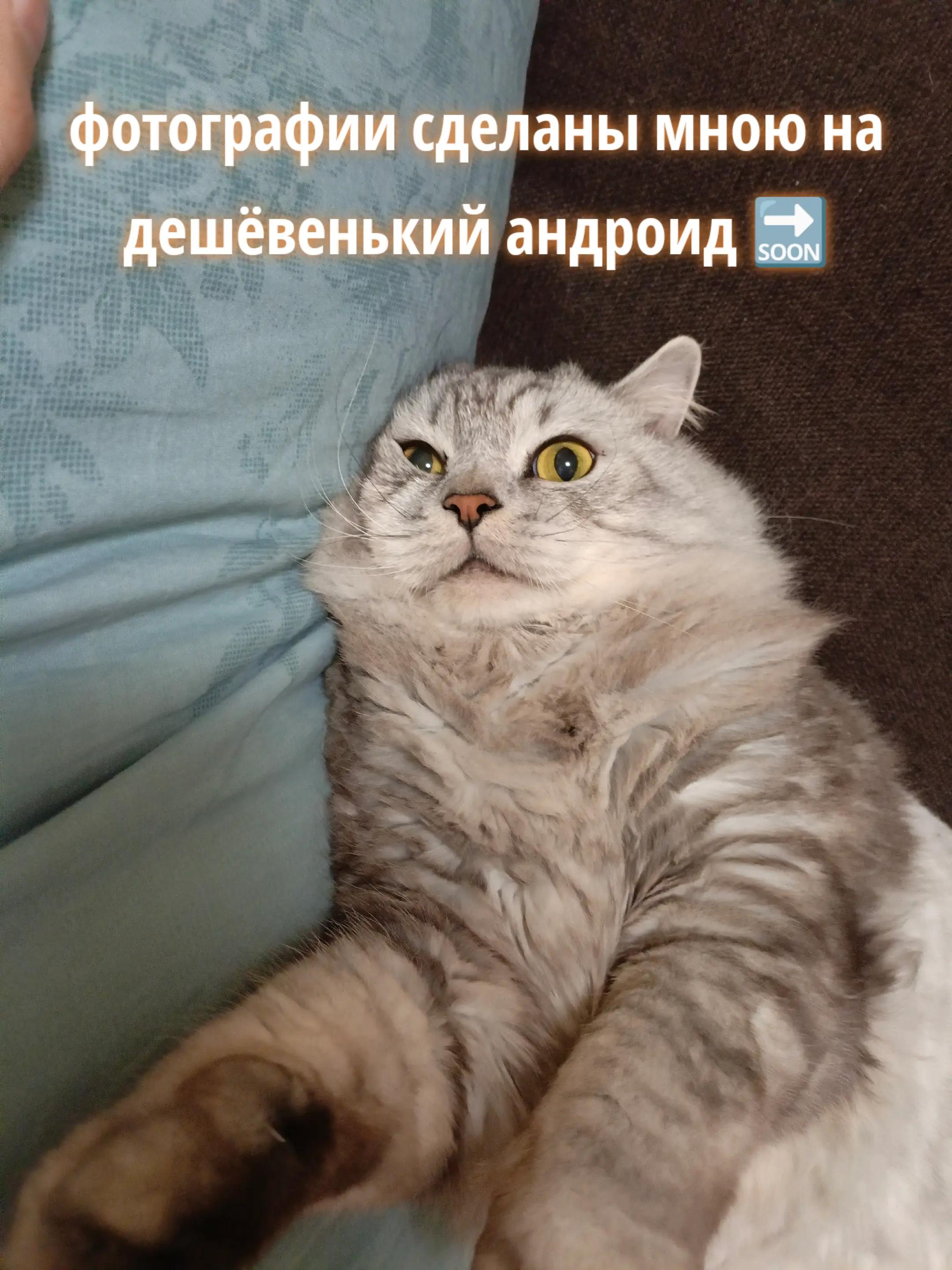 @KoloBok