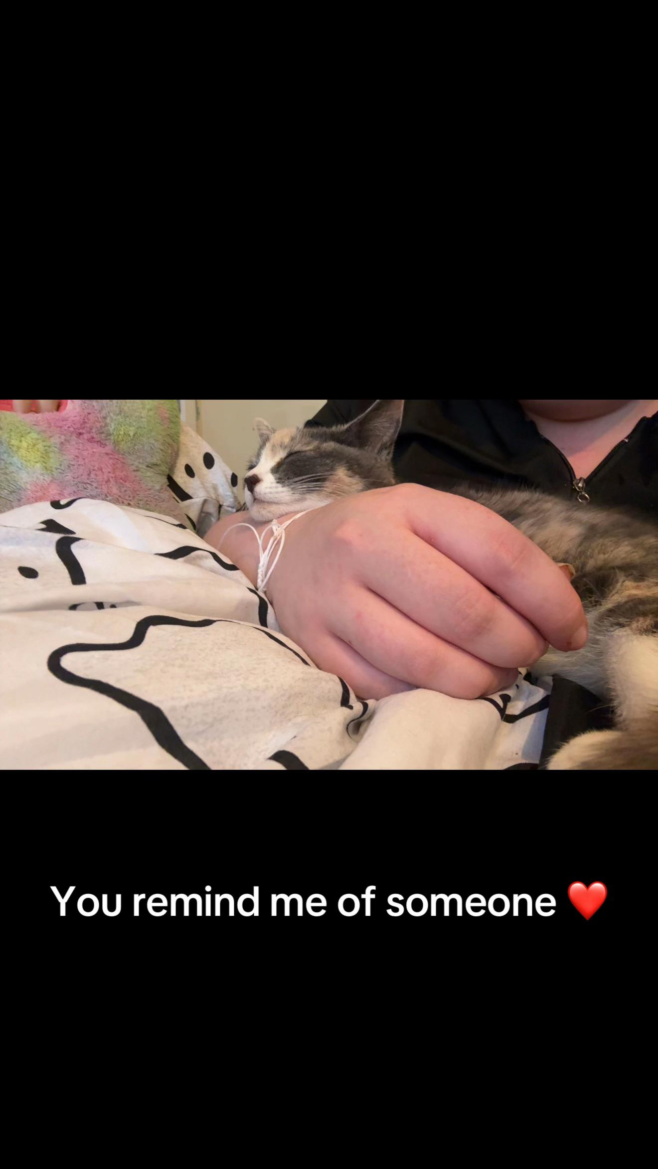 @deadlyfangx