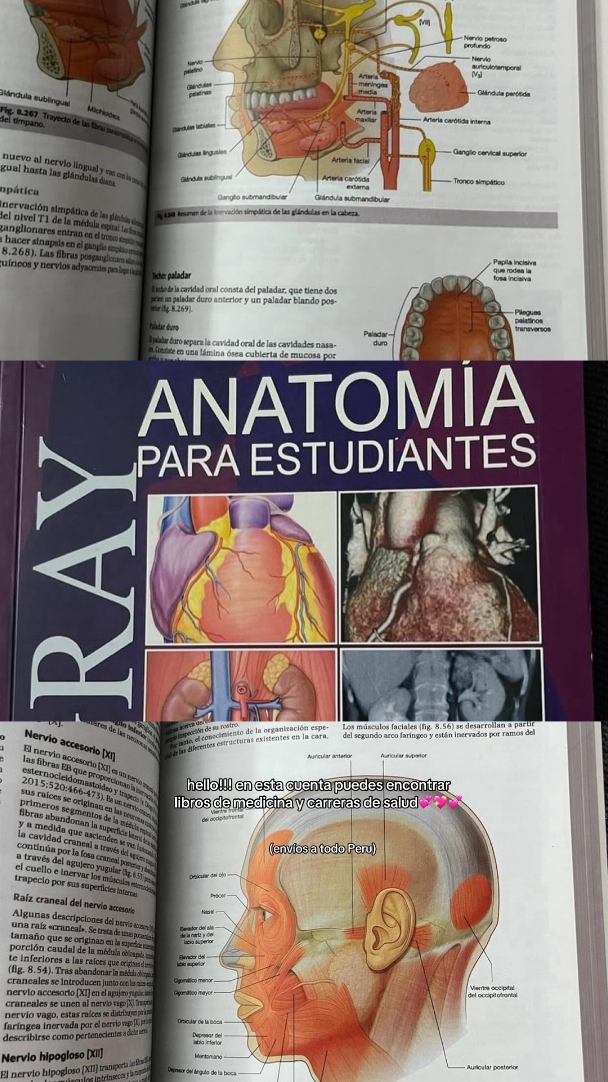 @Librer&iacute;a M&eacute;dica| Med.shop2