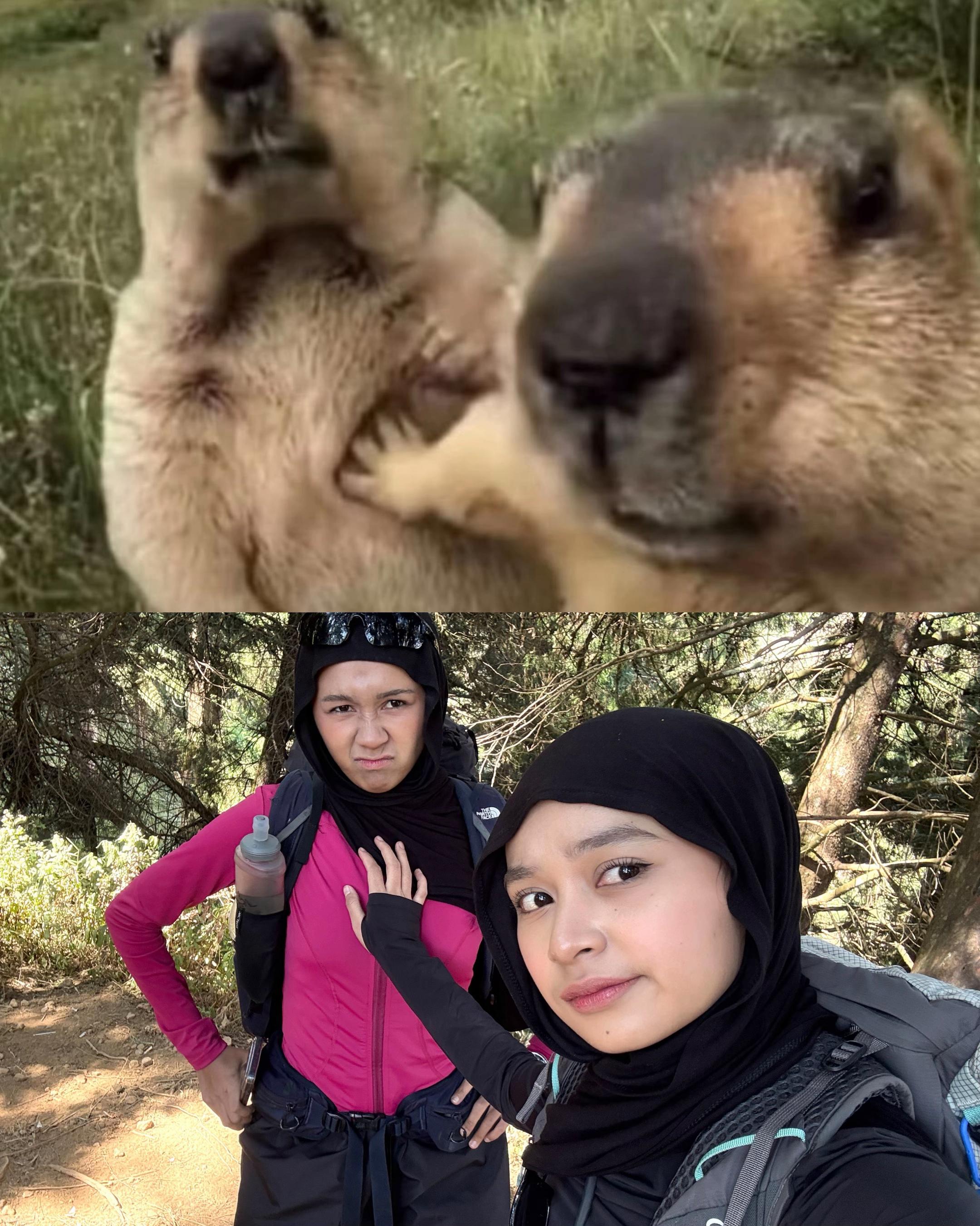 @ibeell