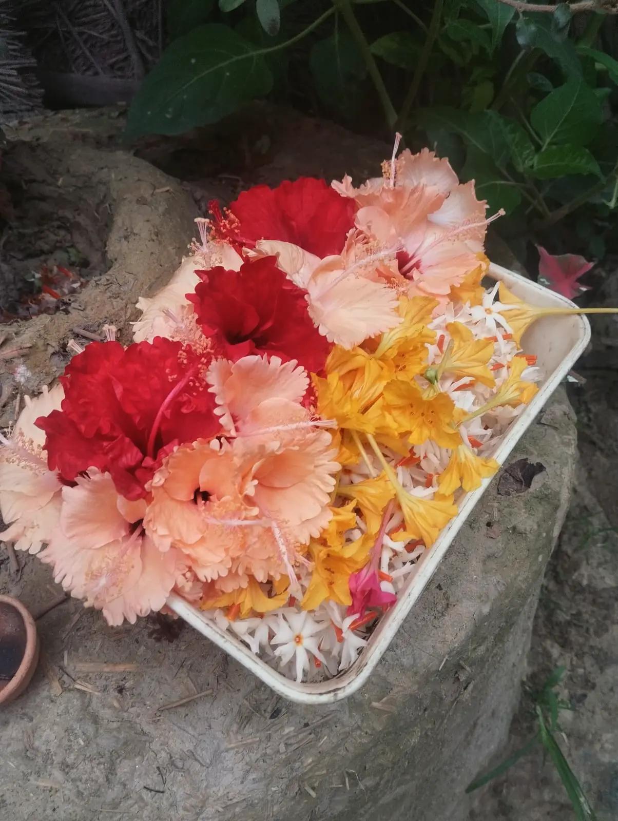 @Bhumika❤️Nandan
