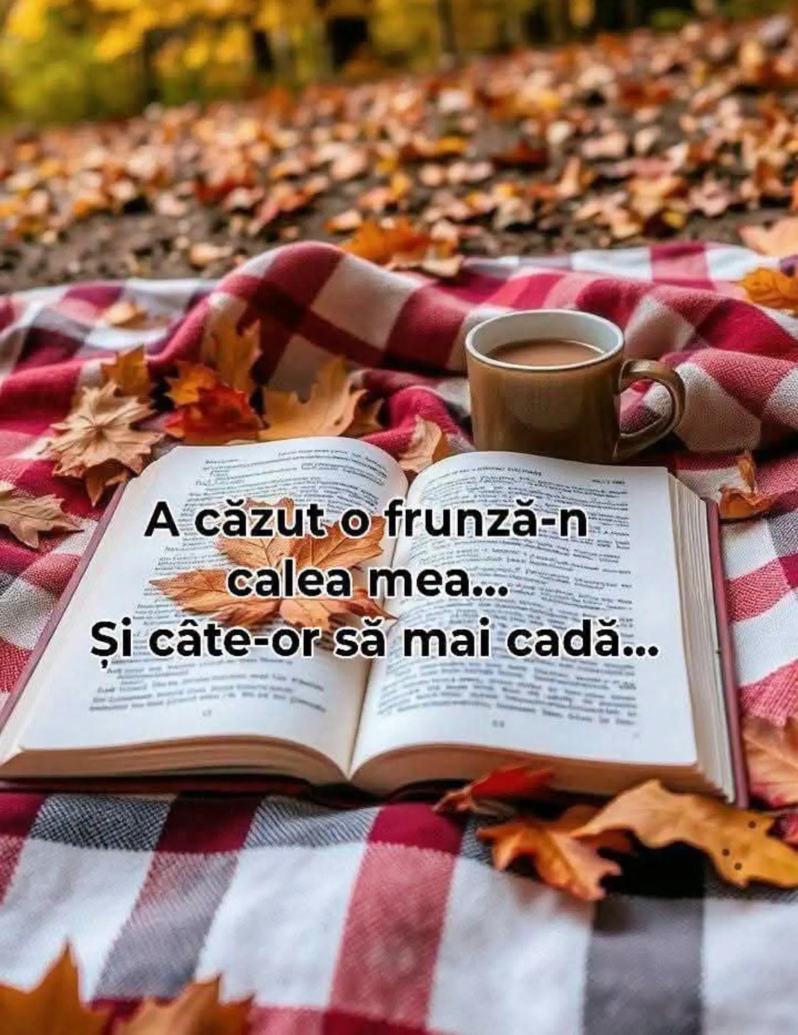 @Filofteia Alexandru