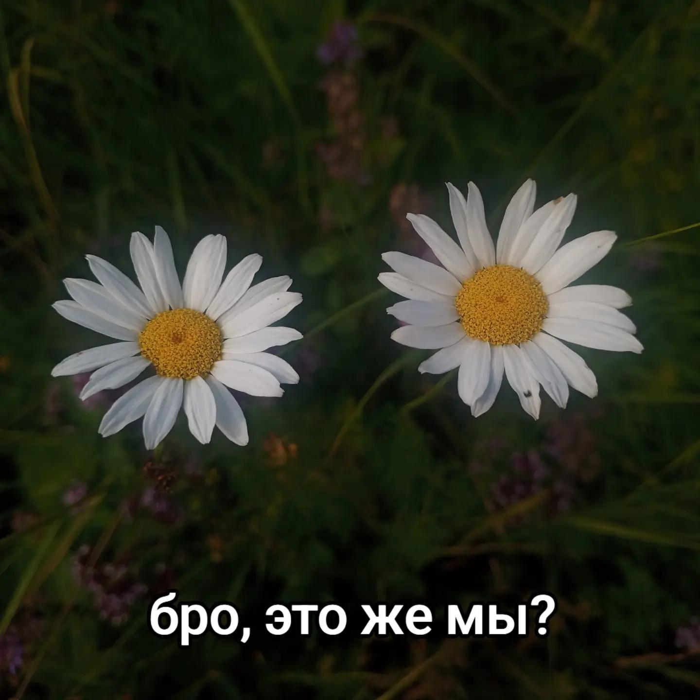@FKS