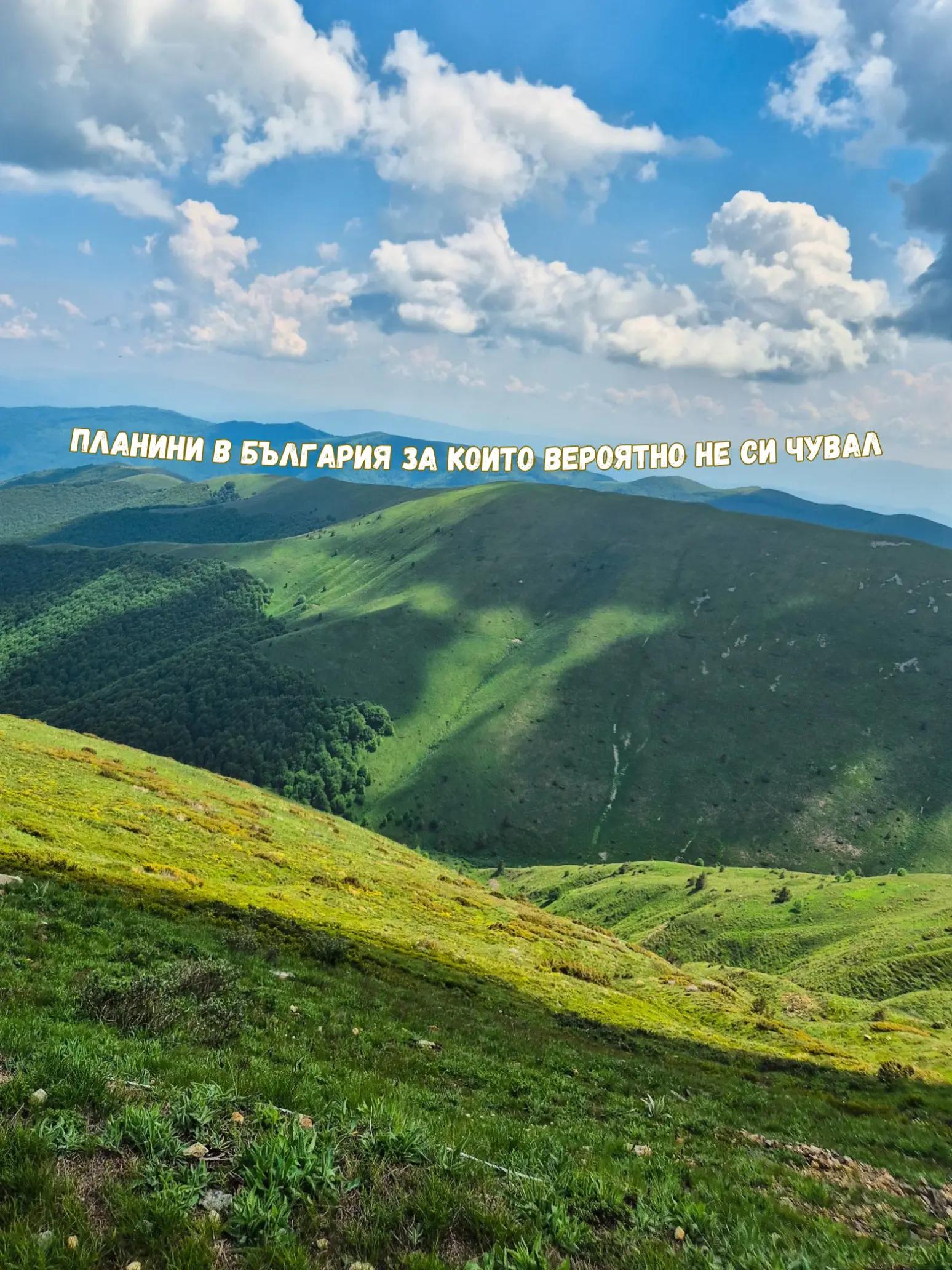 @Zornitsa Ivanova