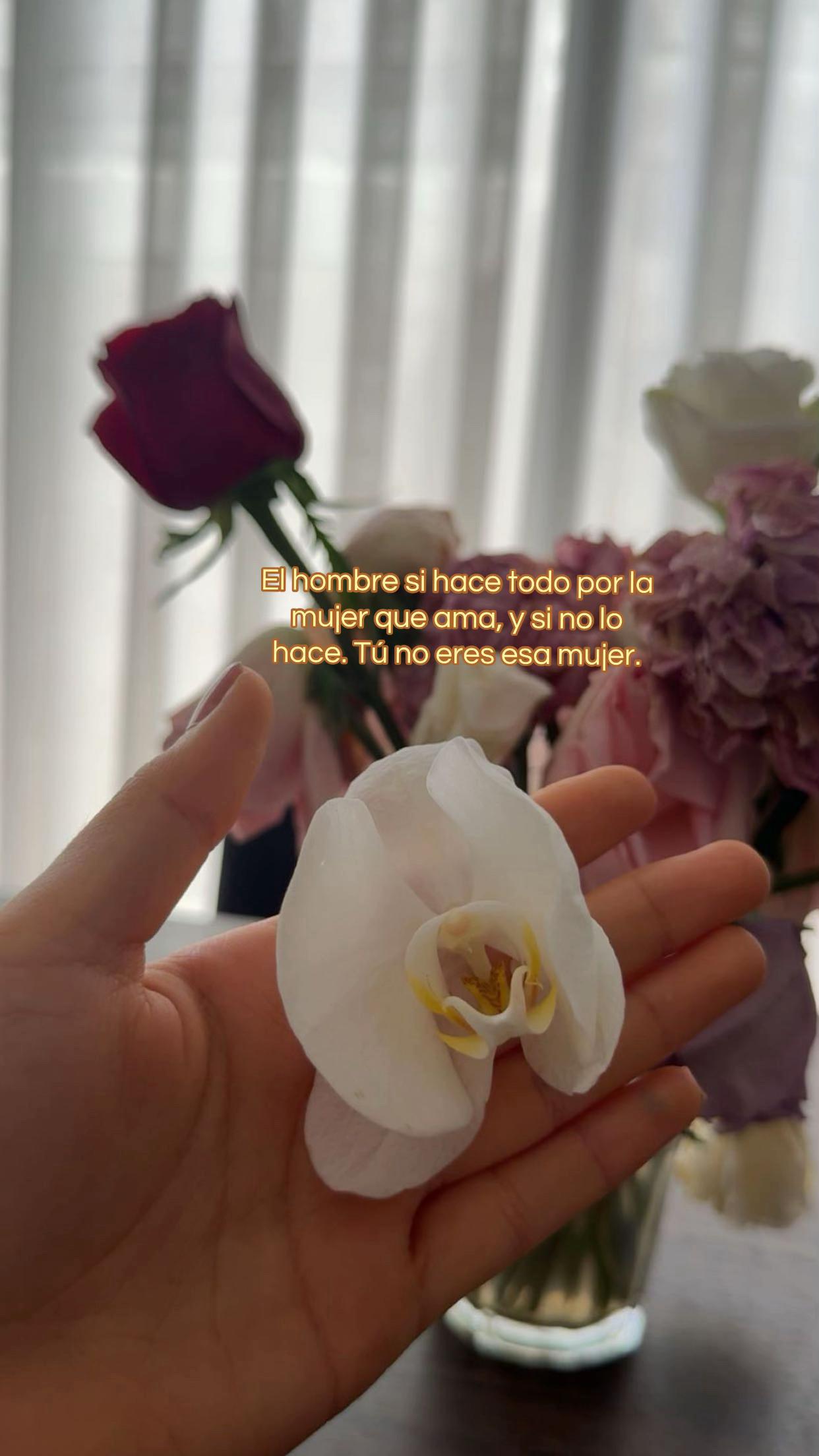 @Allem✨💕