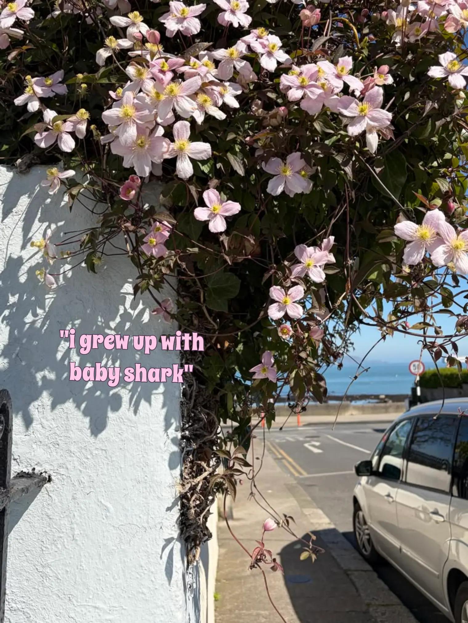 @<๐ .แ