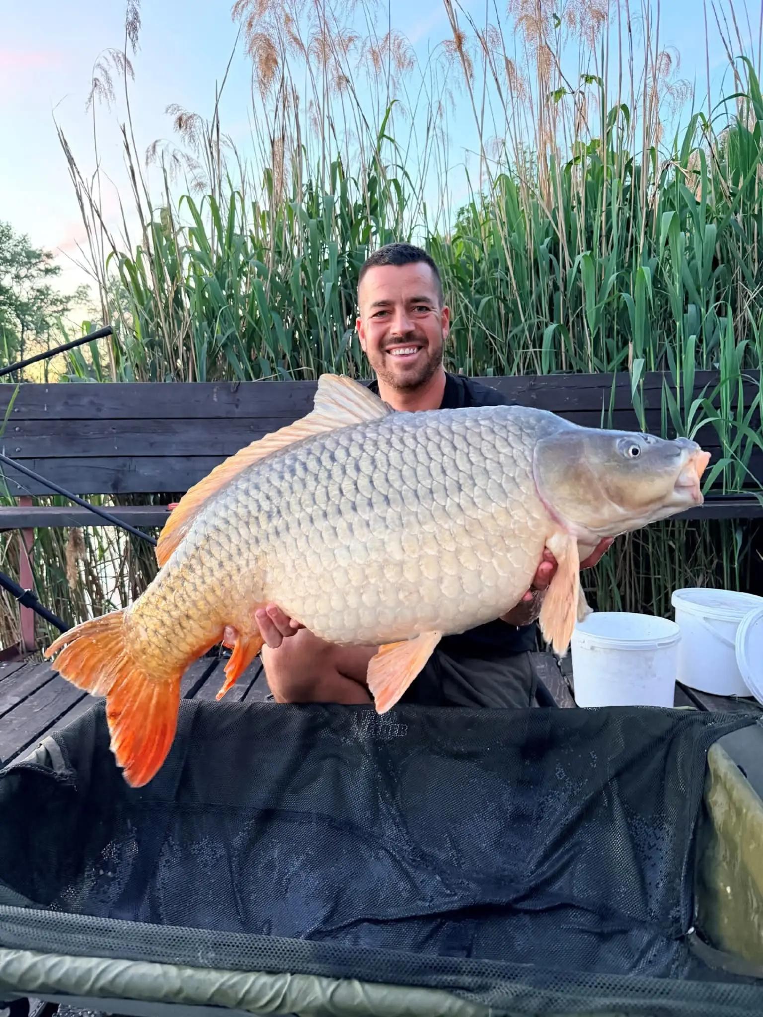 @Bait Bait Germany