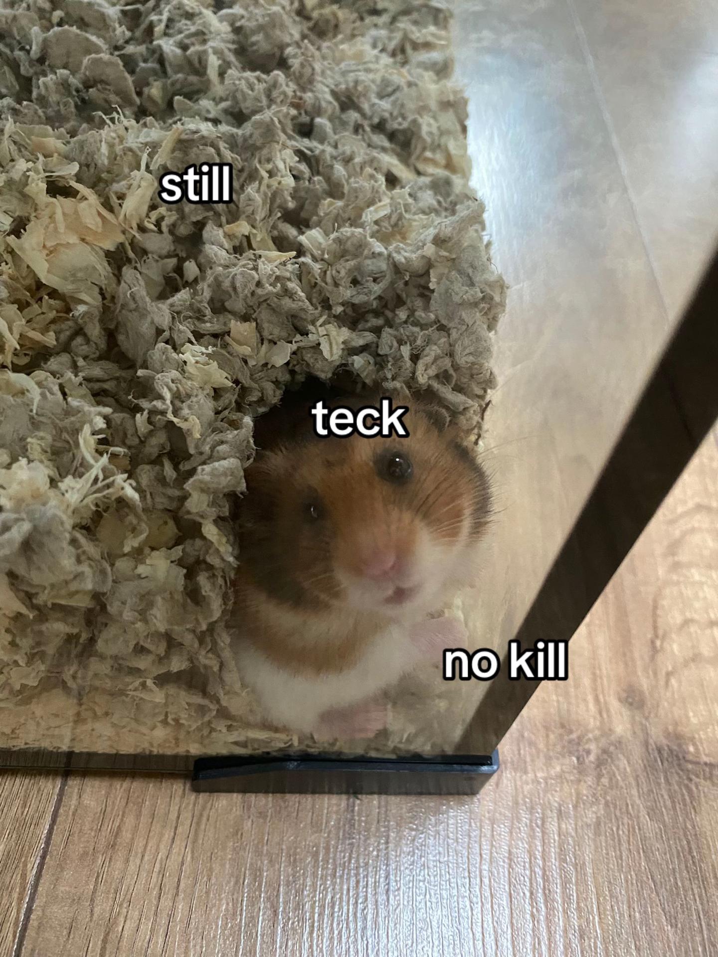 @𝙁𝙄𝙉𝙇𝙀𝙔🎧