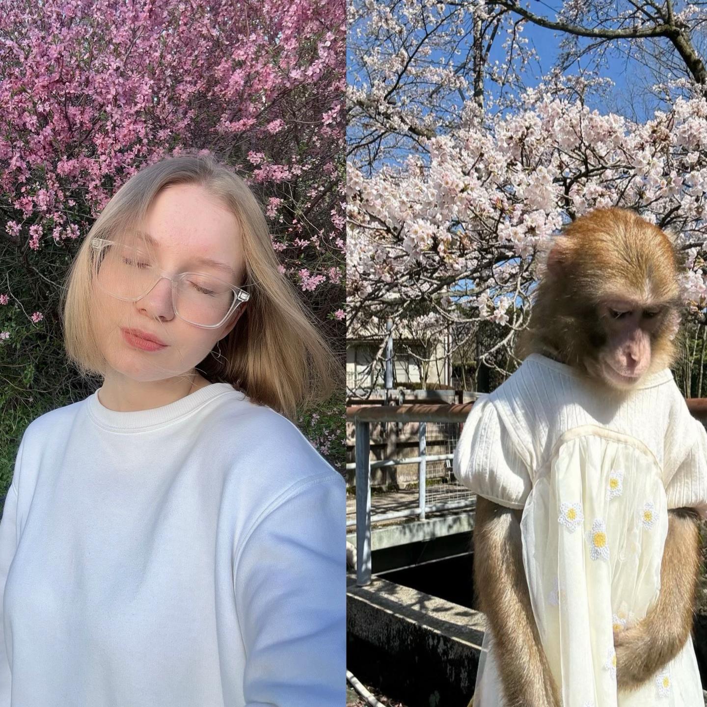 @Yo☀️