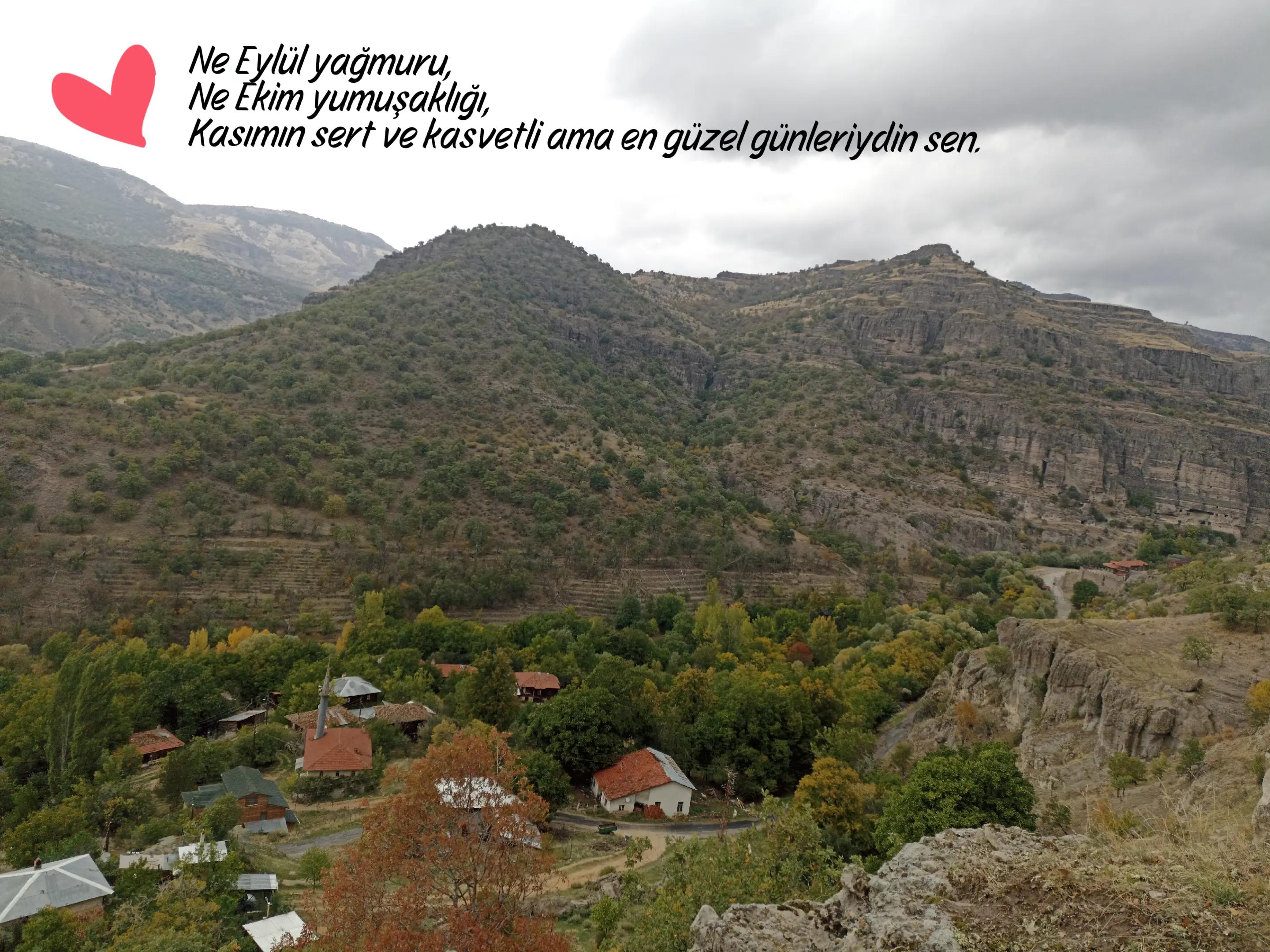 @Elif Çetin
