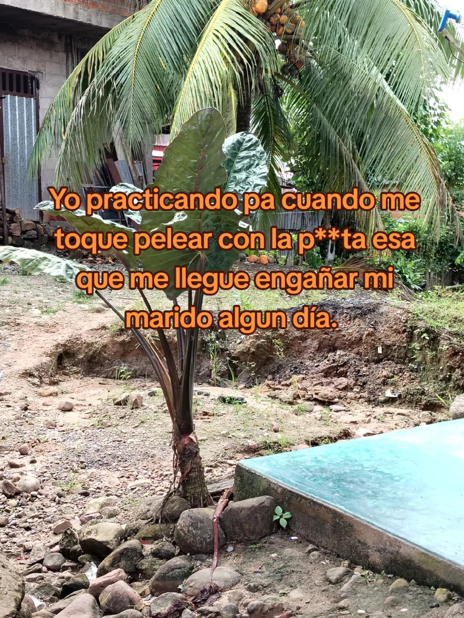 @zulueta
