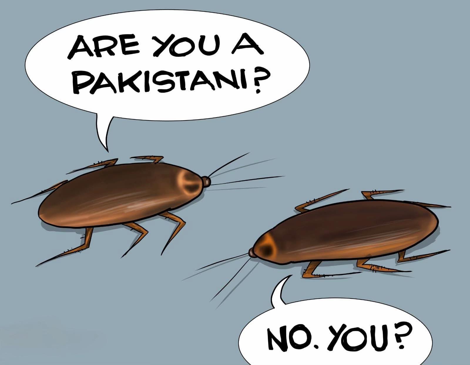 @Sangeeta