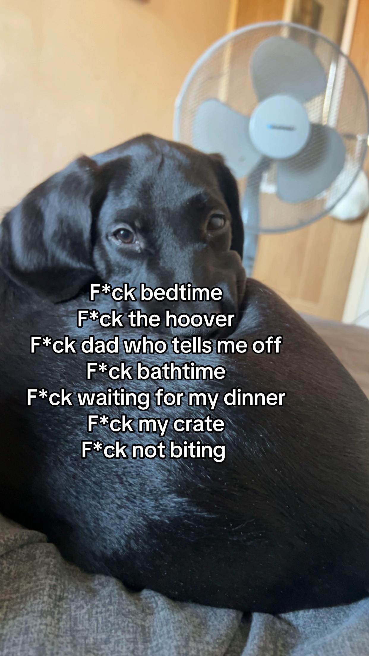 @Megan Tyraa'Martin (relatable)