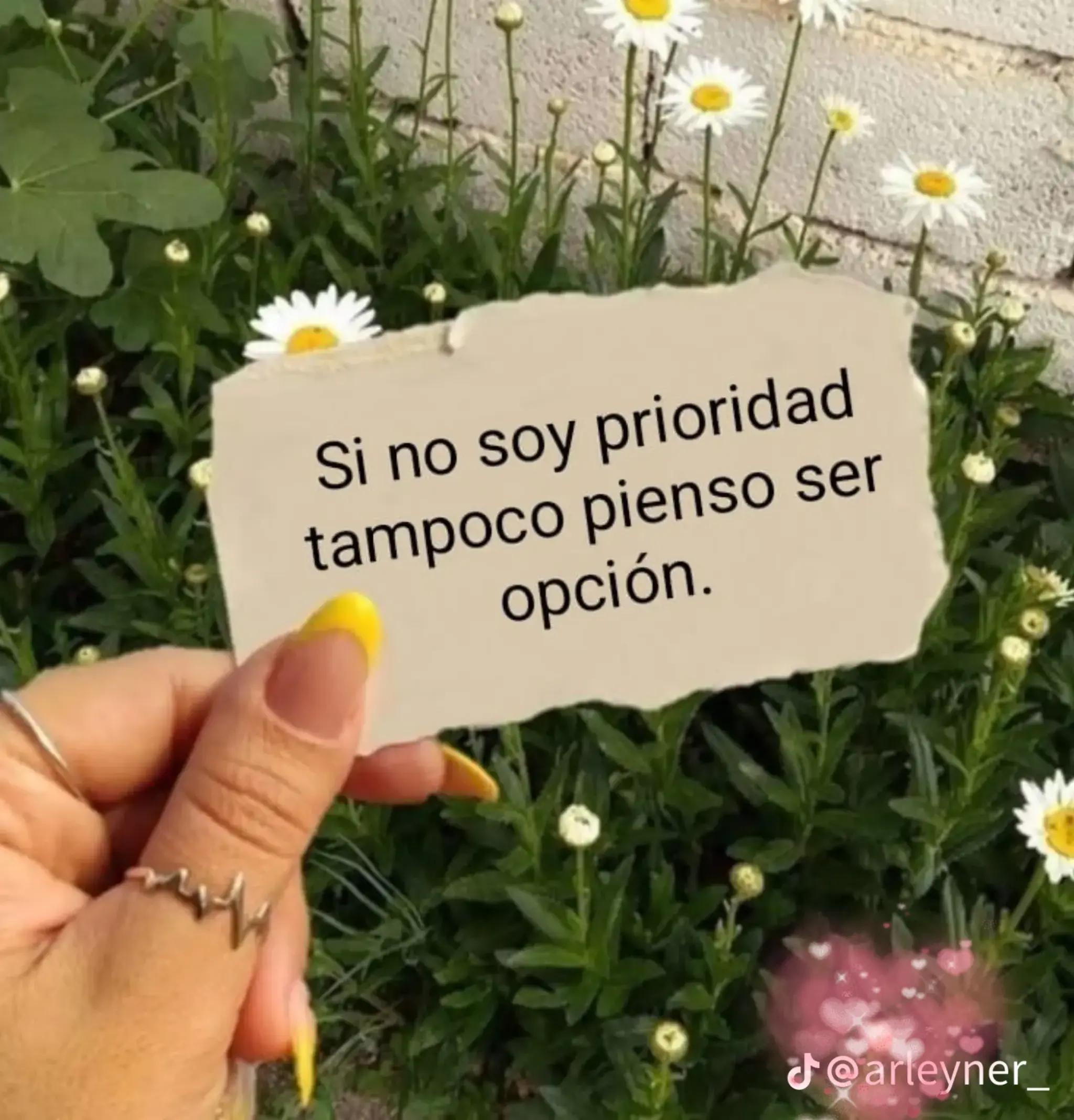 @rochy🌹🌹🌹