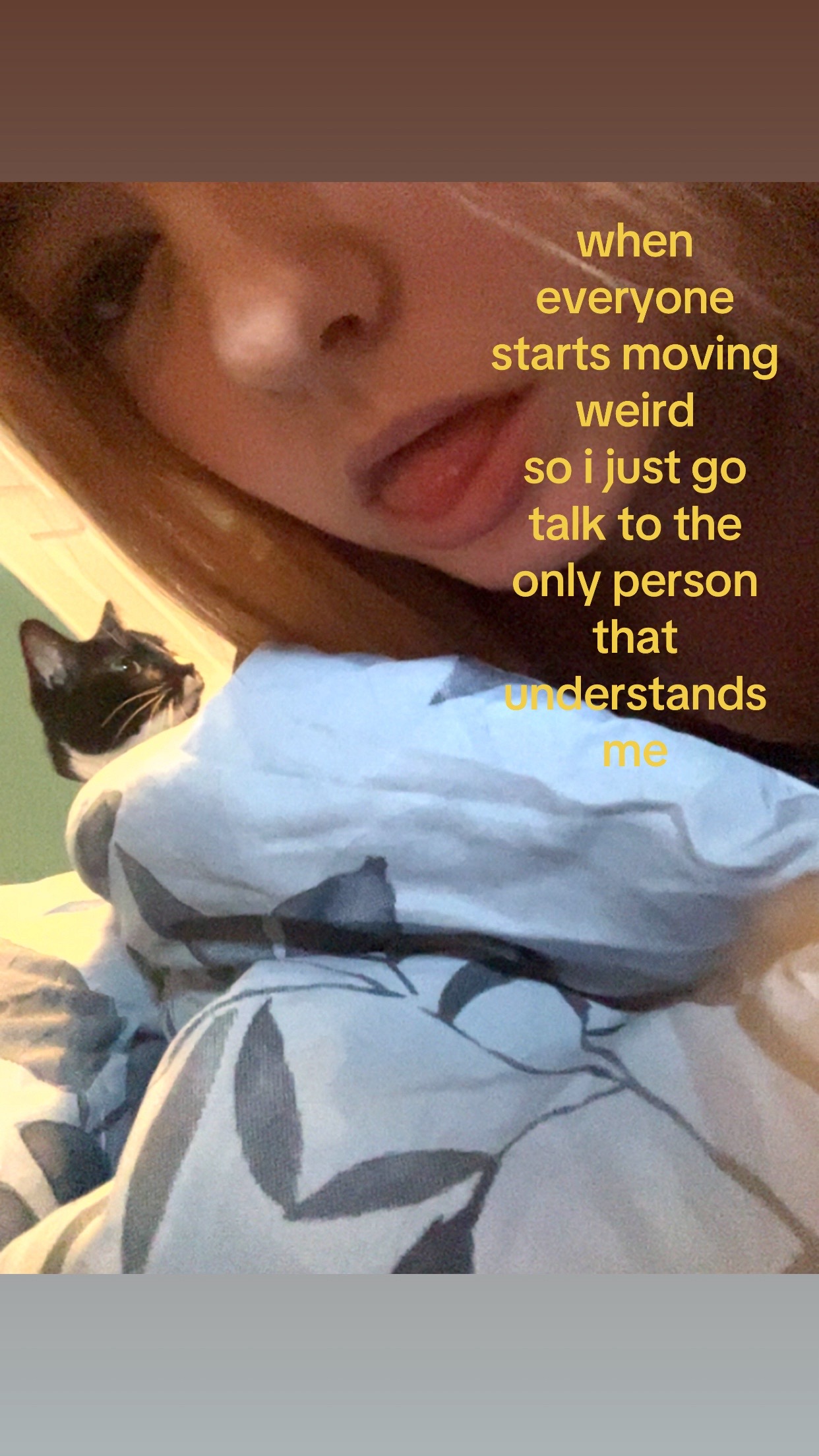 @💤
