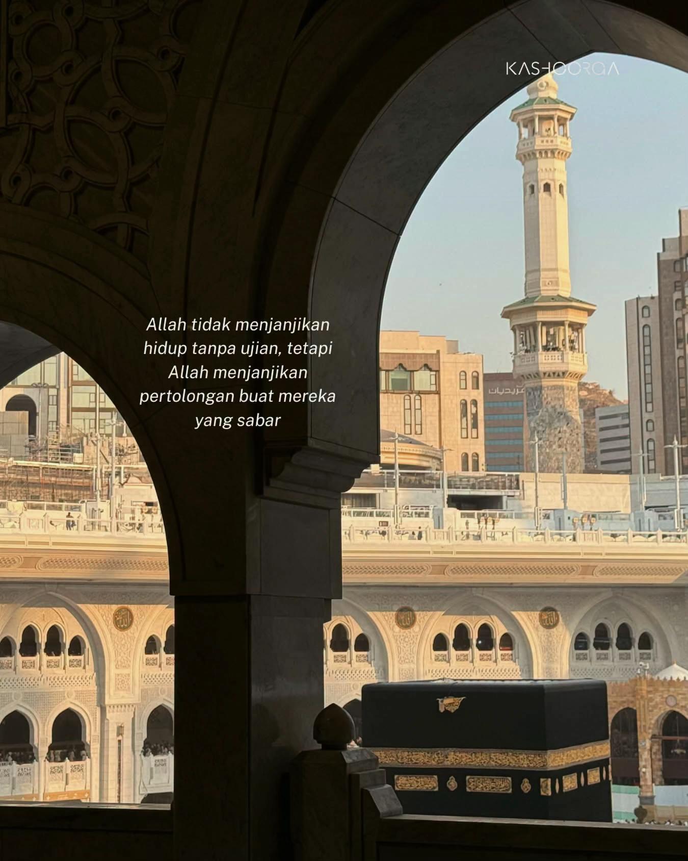 @suzumi69 ( スズミ69 )
