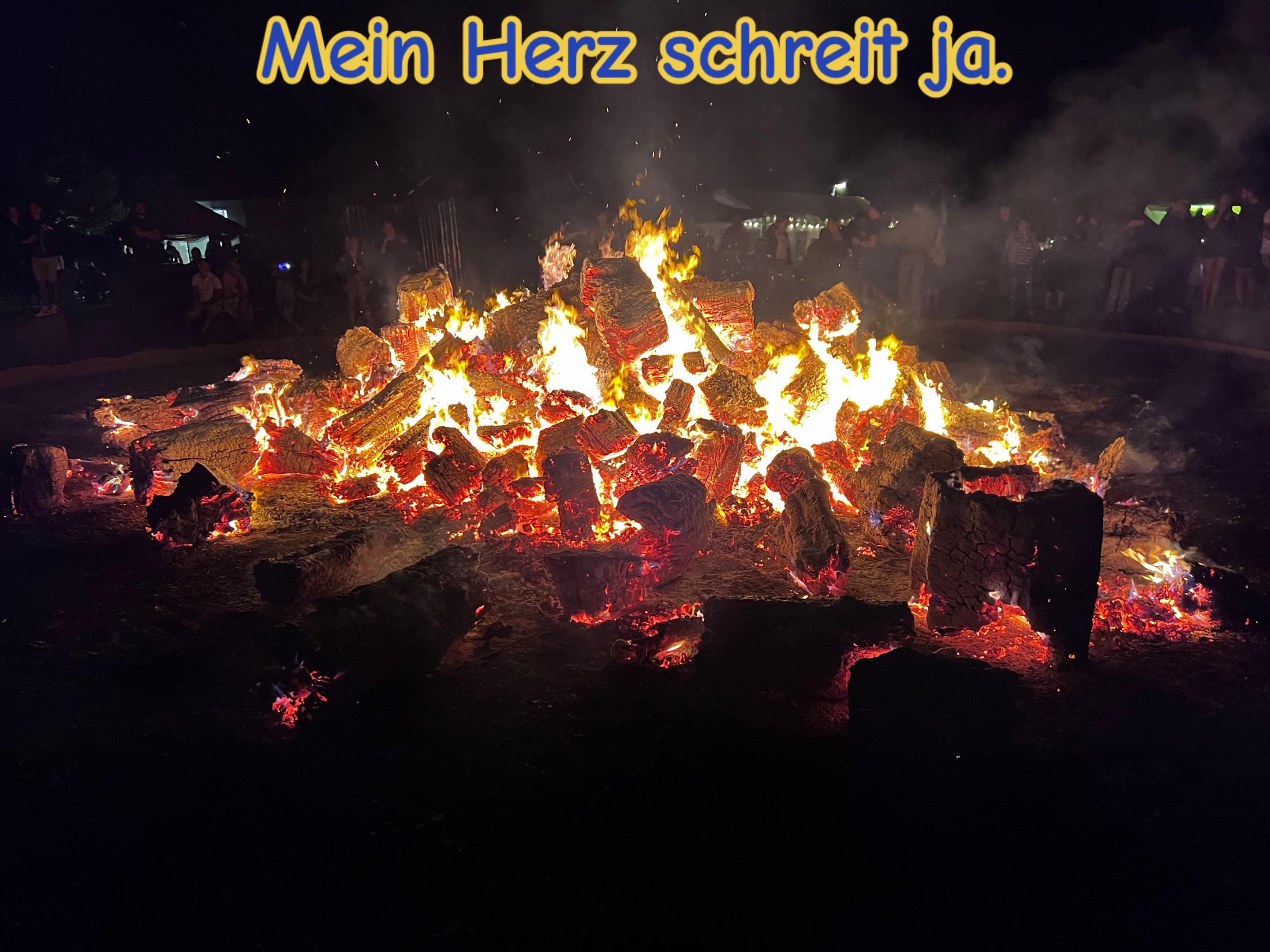 @Birkenwald74