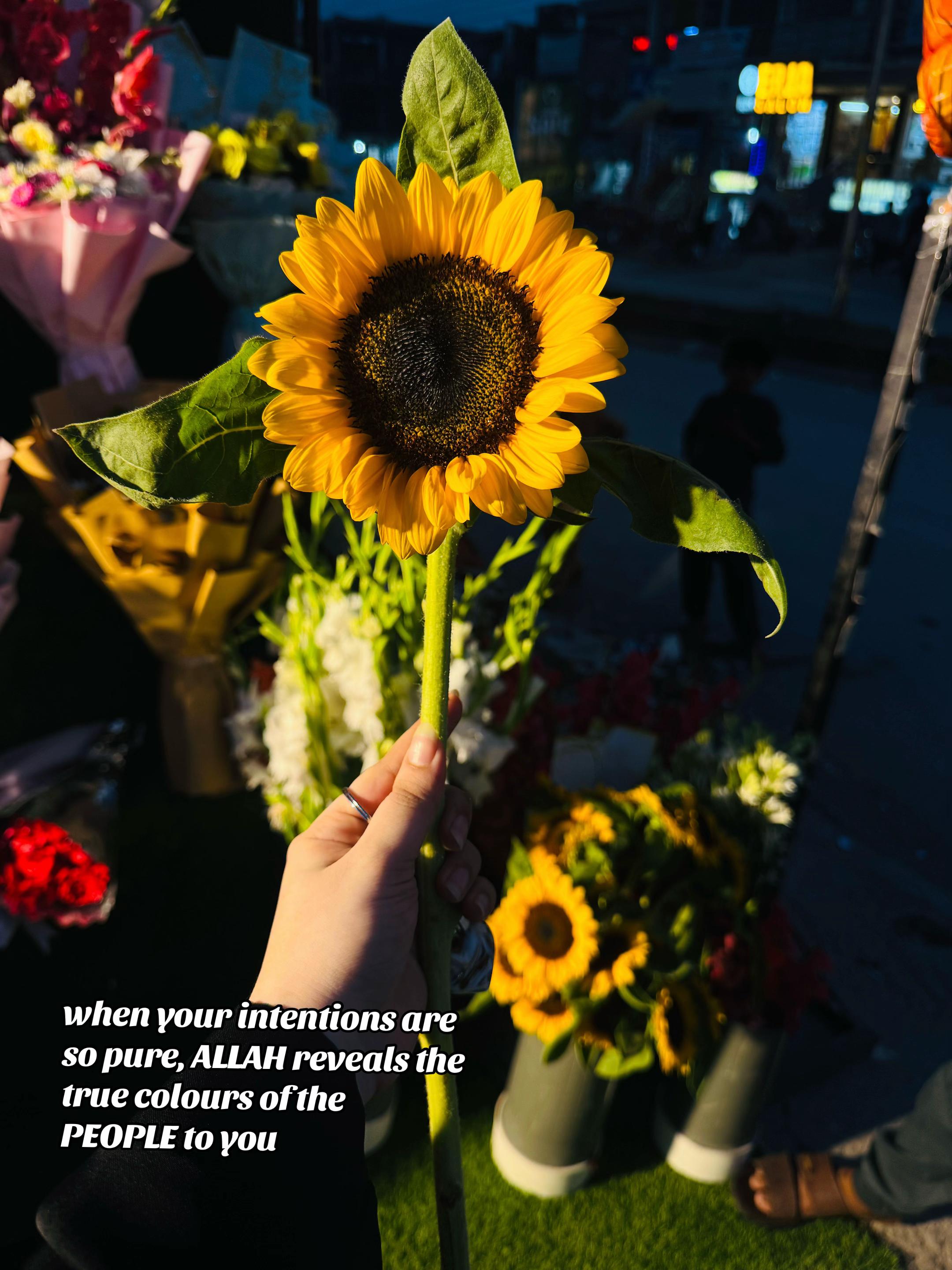 @🧸💌