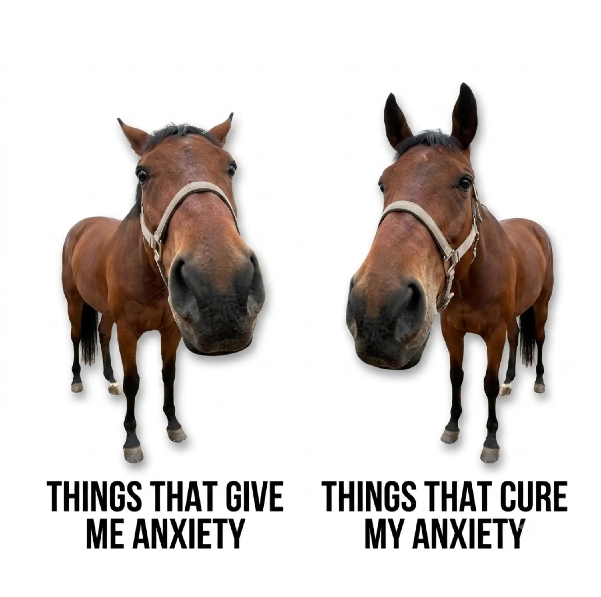 @streamhorse