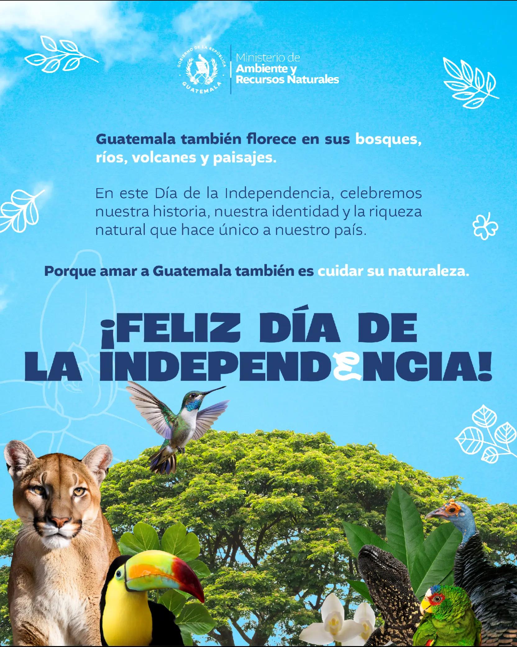 @Ministerio de Ambiente GT