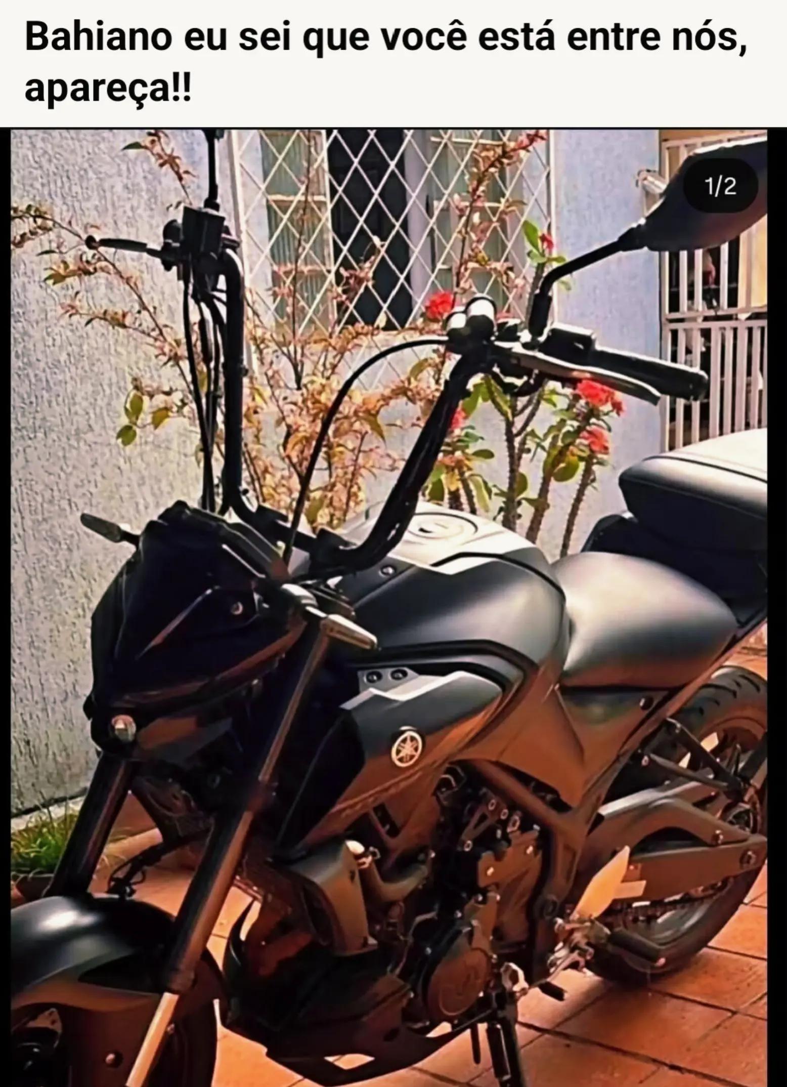 @LÉO COELHO BLUMENAU SC