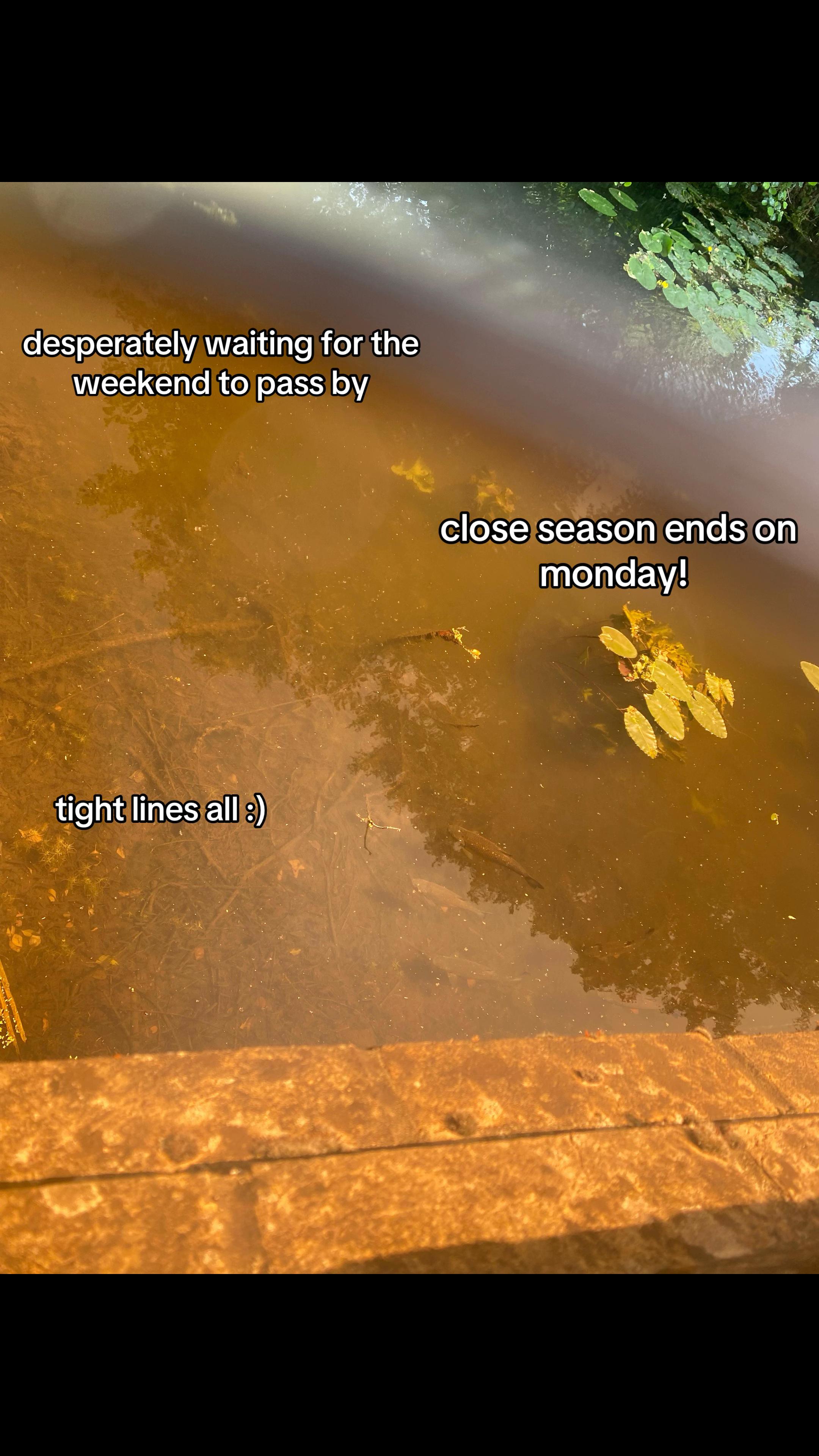 @🎣
