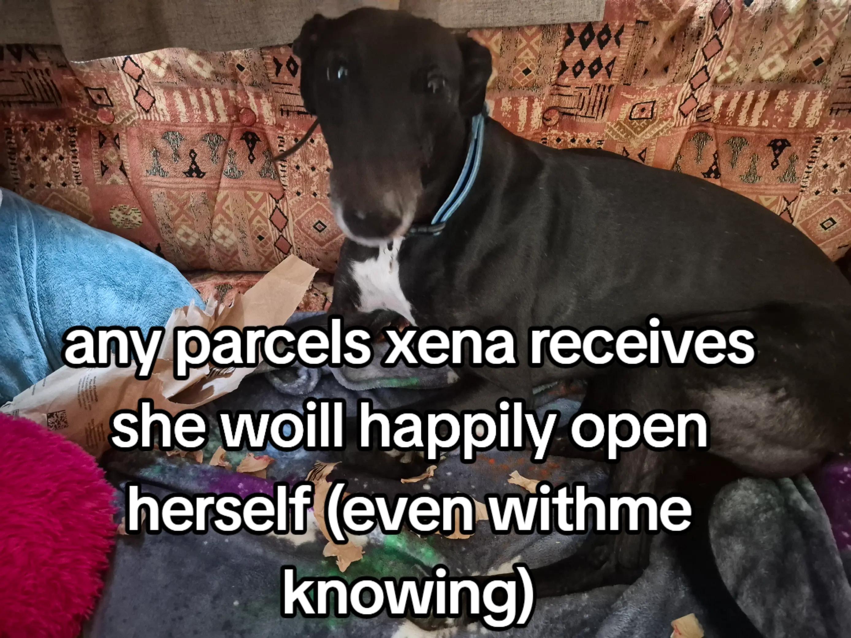 @xena