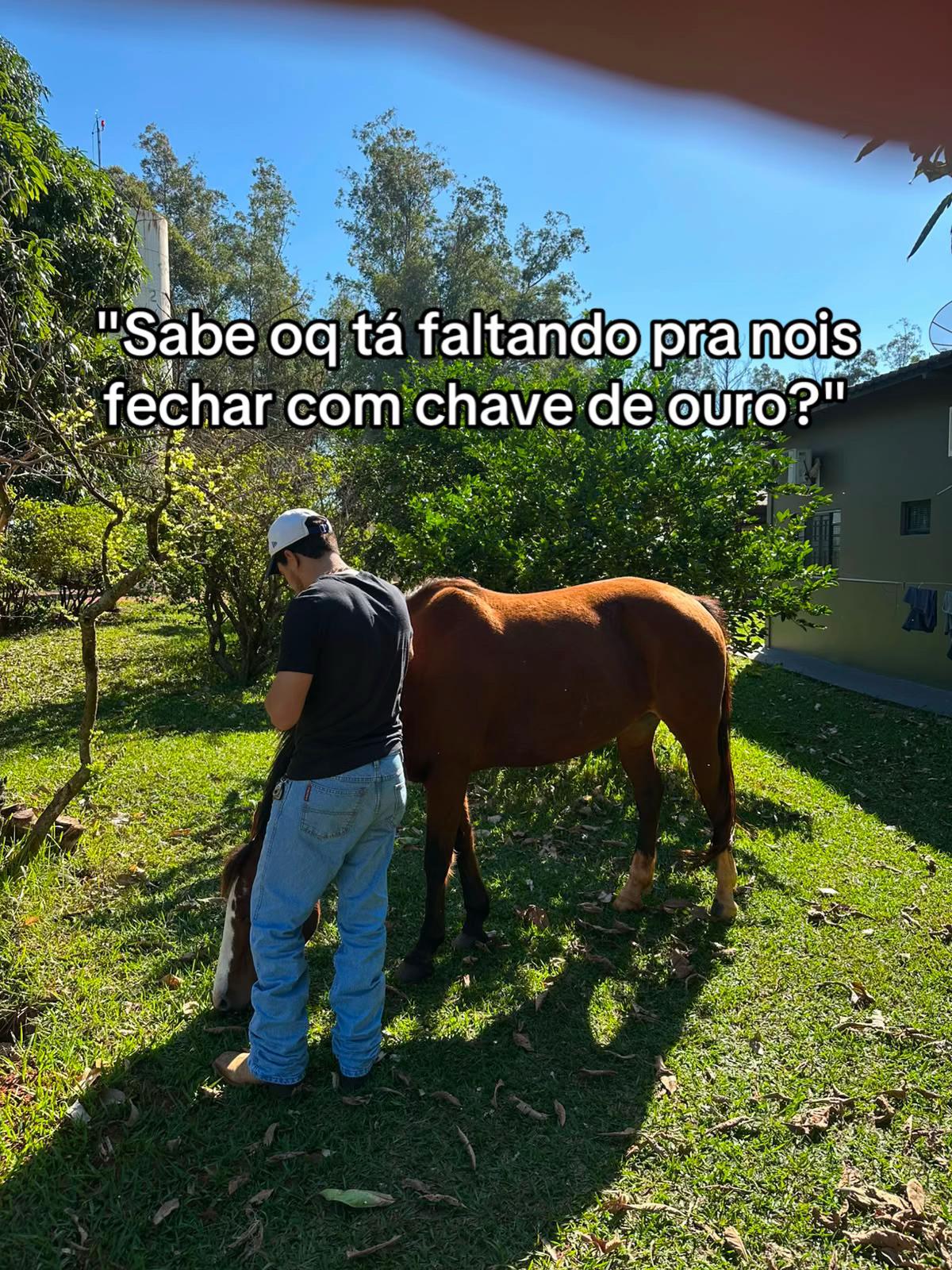 @Guilherme Rodrigues