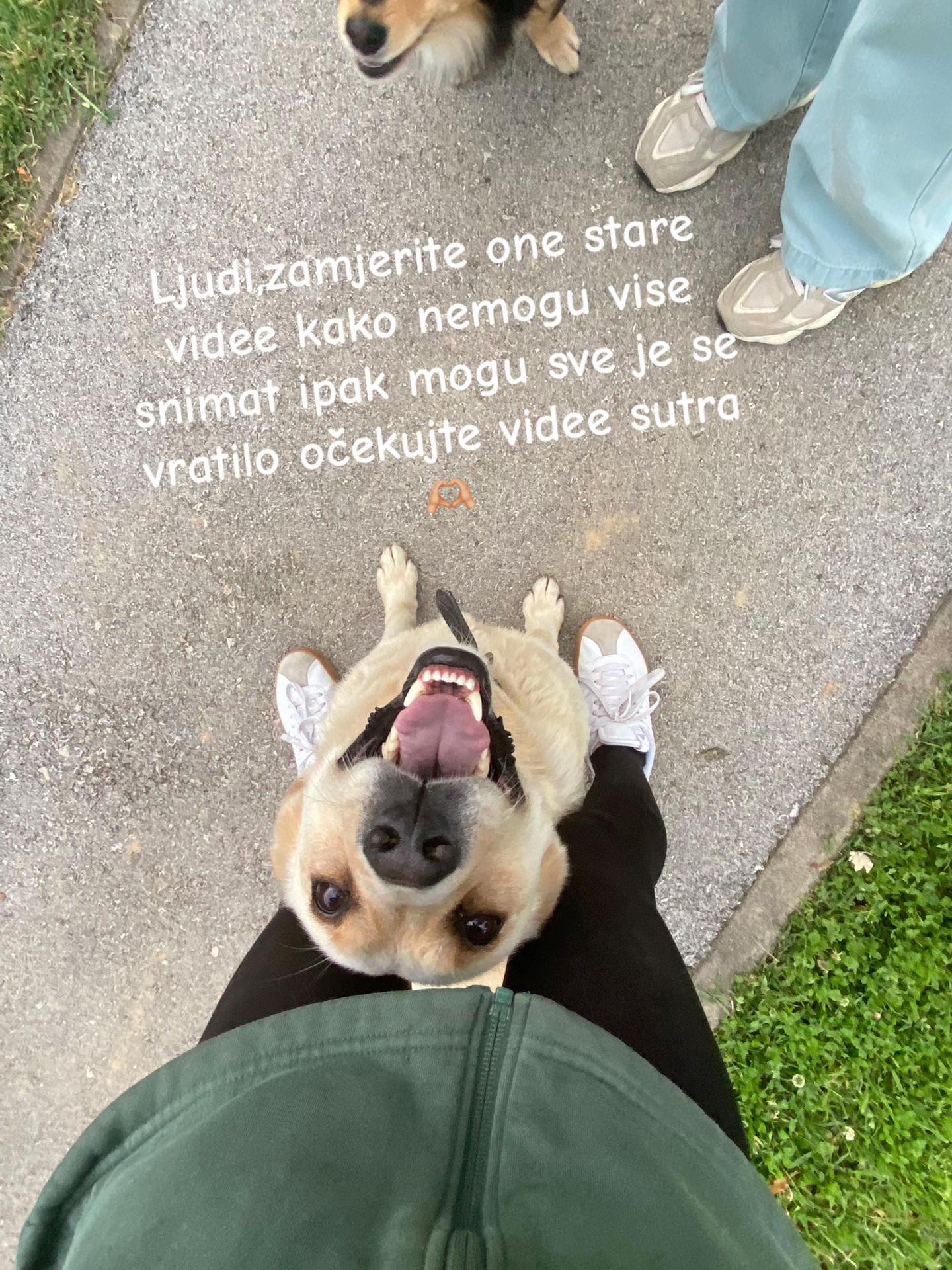 @🐚