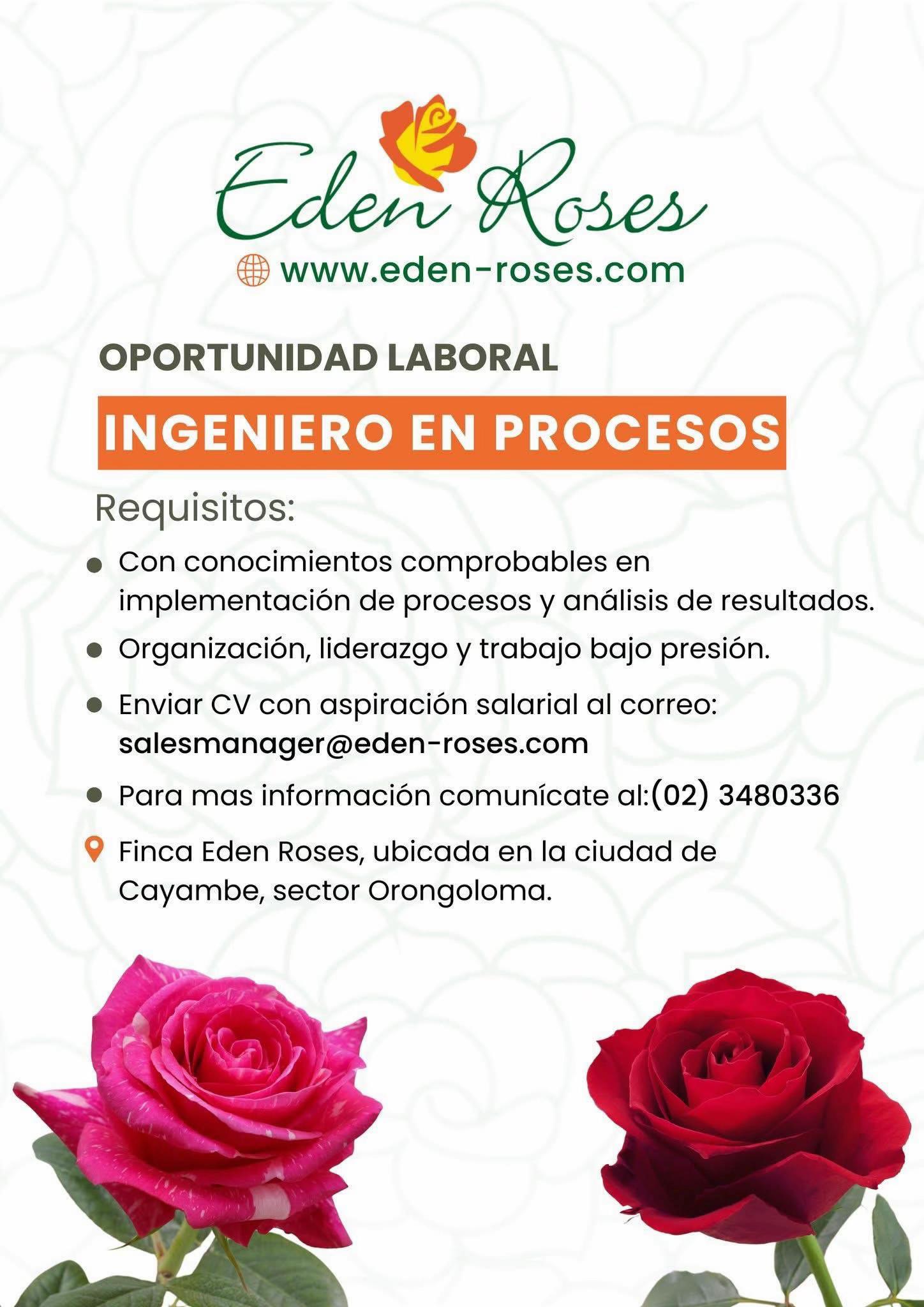 @Eden Roses